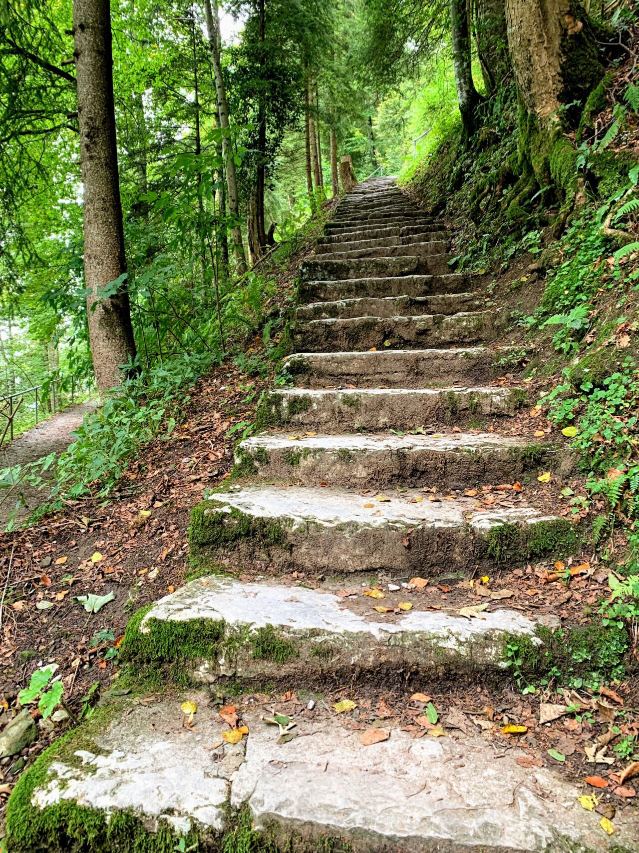 wanderung_vierwaldstaettersee_alpnachstad_ennetbuergen_