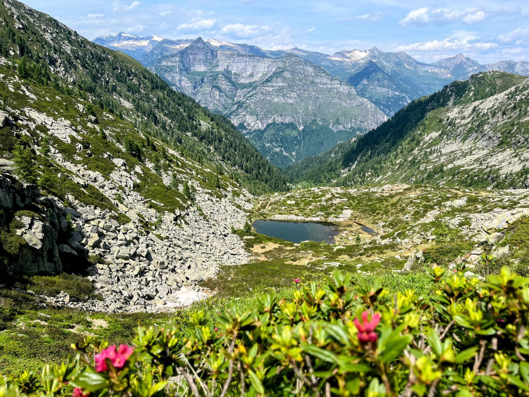 Wanderung_Alta_Via_Vallemaggia_Cimetta_Nimi_Brione_