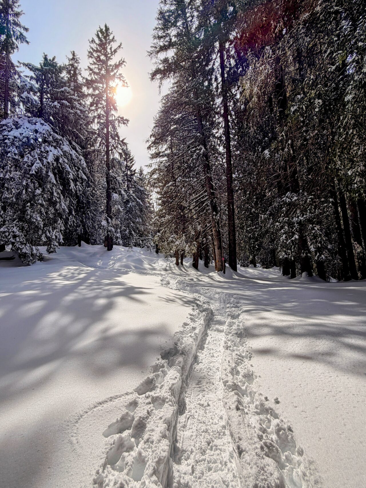 schneeschuhtour_lehmen_kronberg_chammhaldenhuette_schwaegalp__IMG_1402