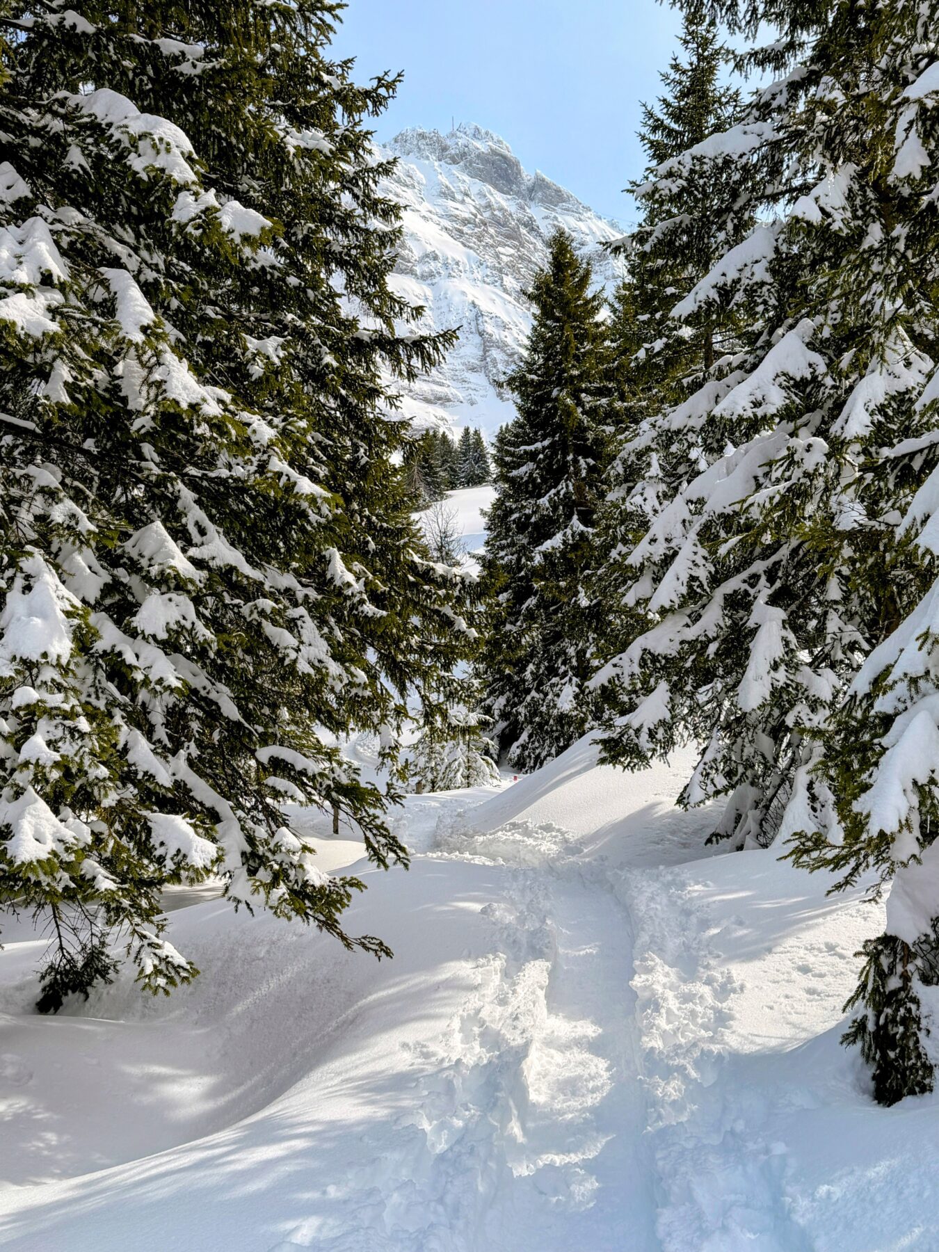 schneeschuhtour_lehmen_kronberg_chammhaldenhuette_schwaegalp__IMG_1405