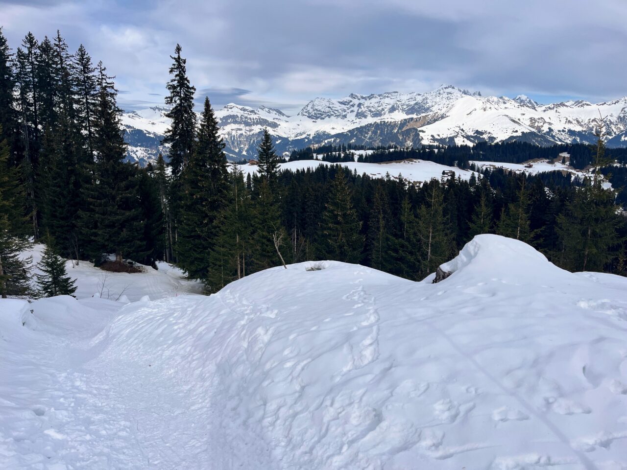 schneeschuhwanderung_grüsch_furna__IMG_4204