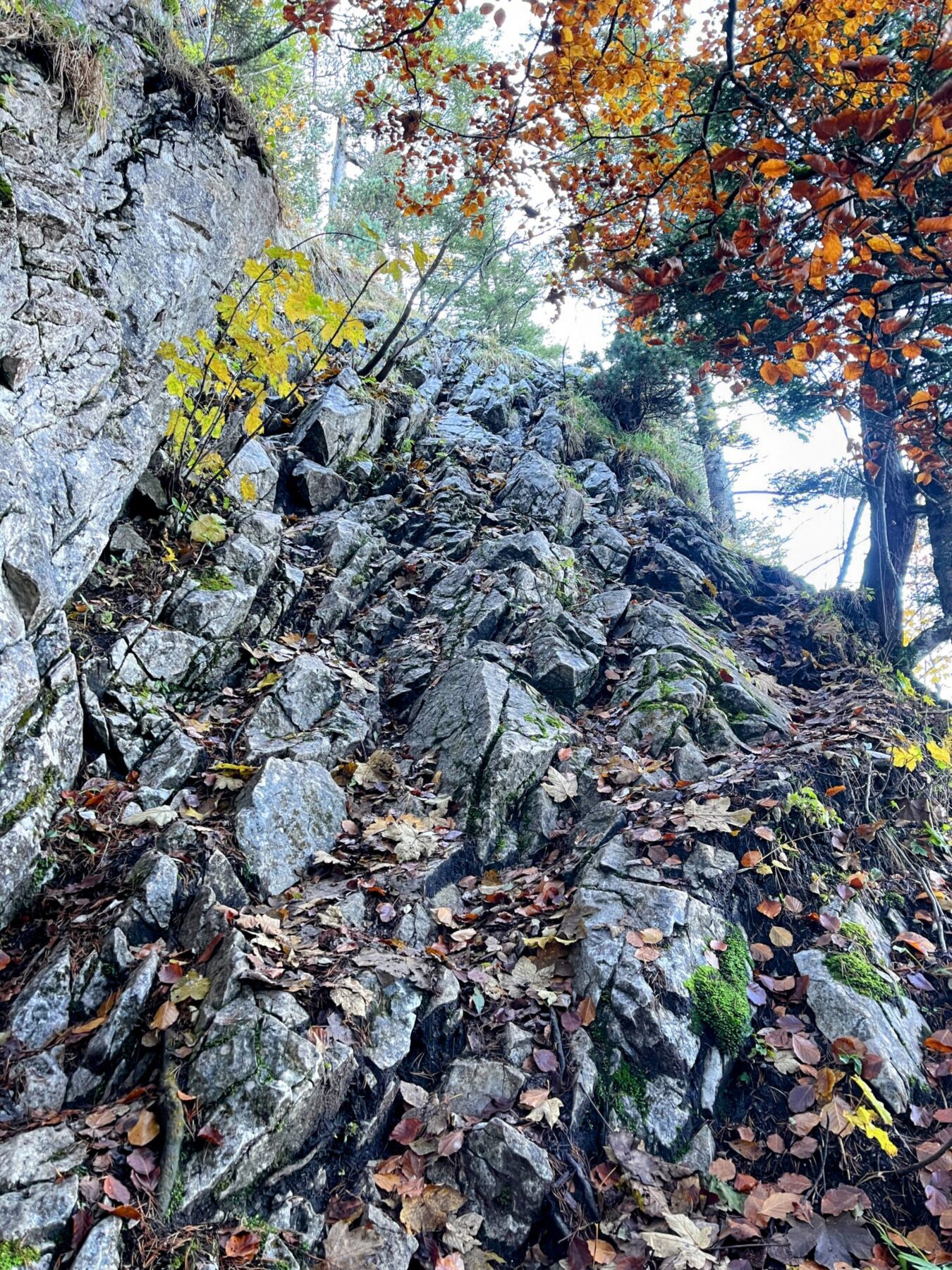 wanderung_rigi_hochflue_
