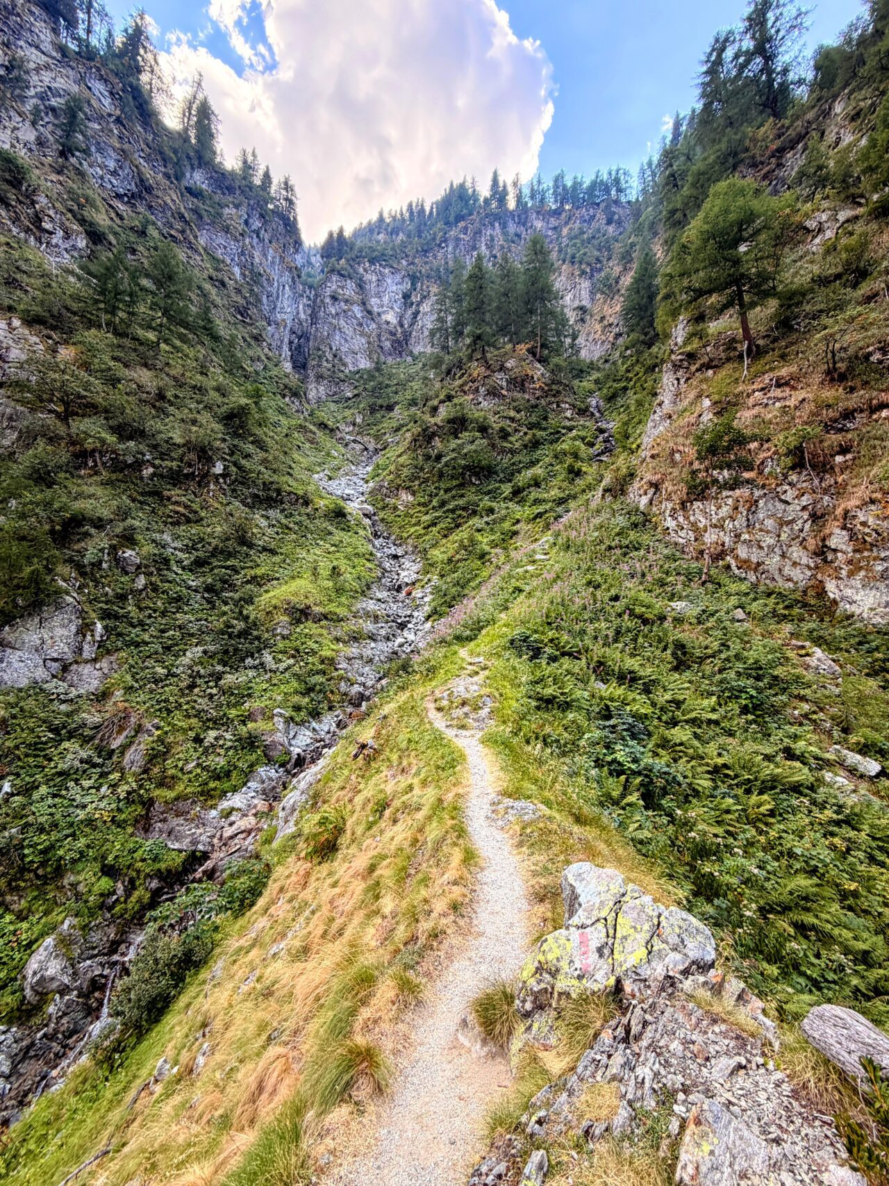 wanderung_sentiero_alpino_bregaglia_sciorahuette_sasc_furae_huette__IMG_0514