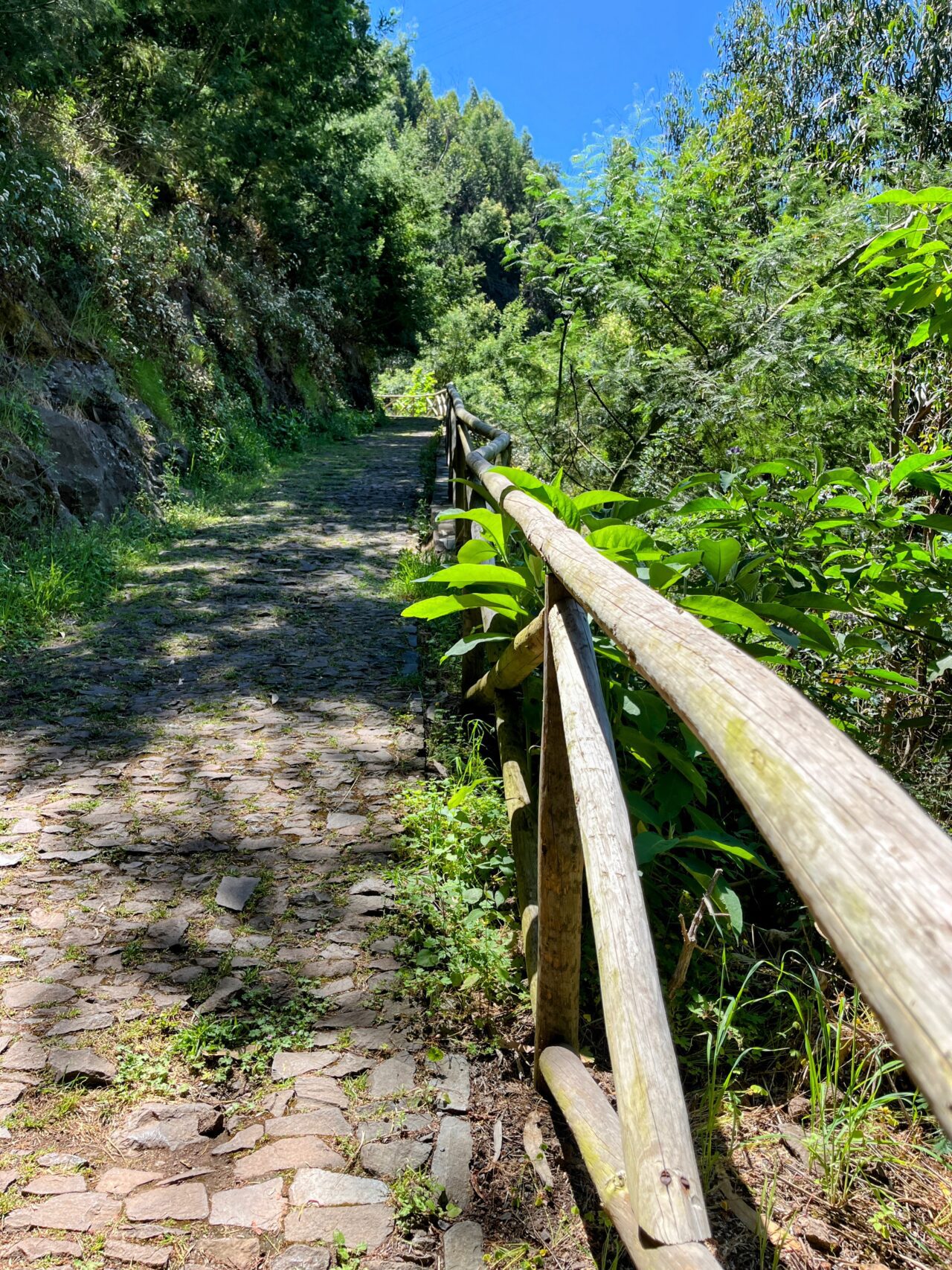 wanderung_monte_botanischer_garten_funchal_
