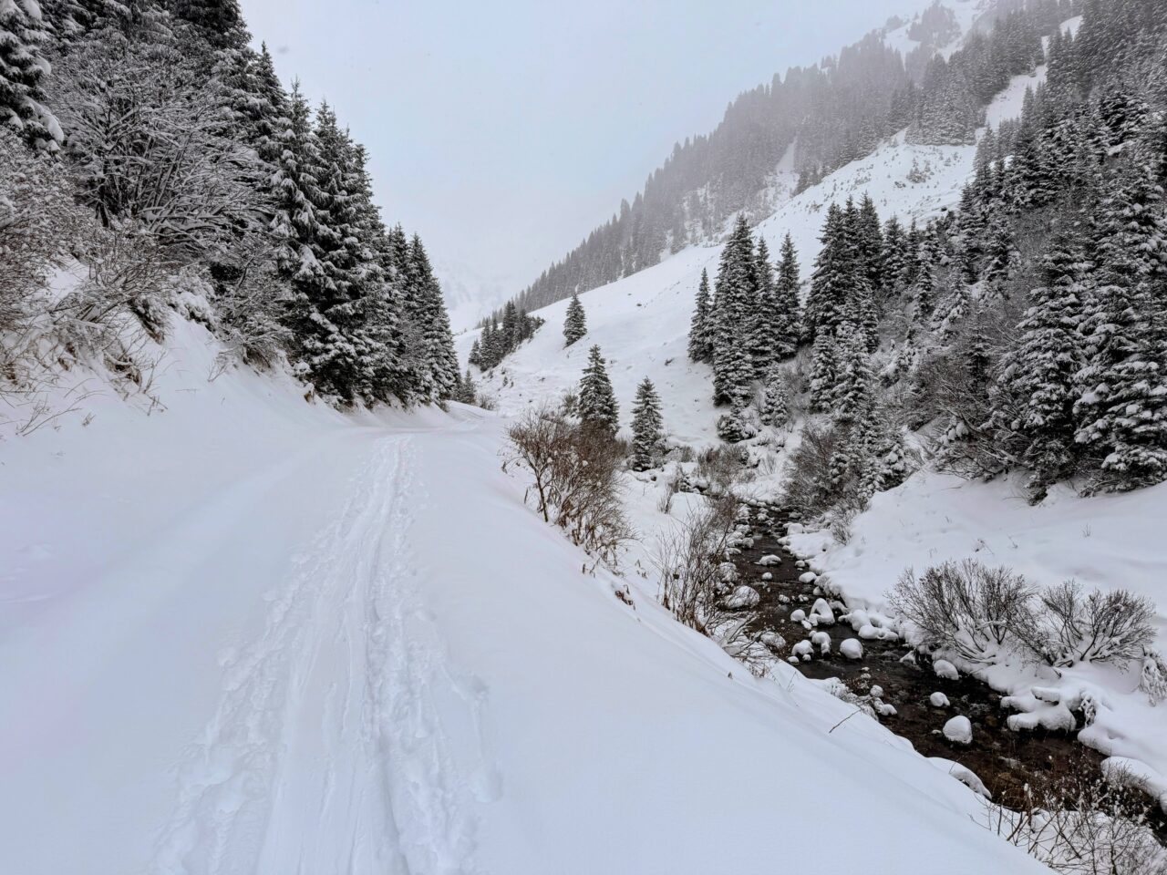schneeschuhwanderung_klosters_schlappin__IMG_8890