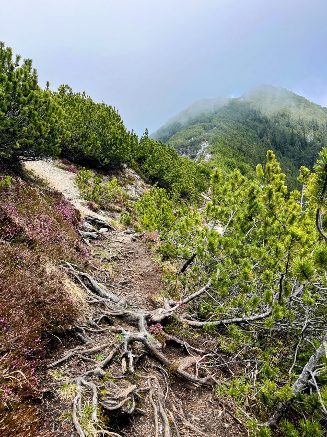 wanderung_mondstein_