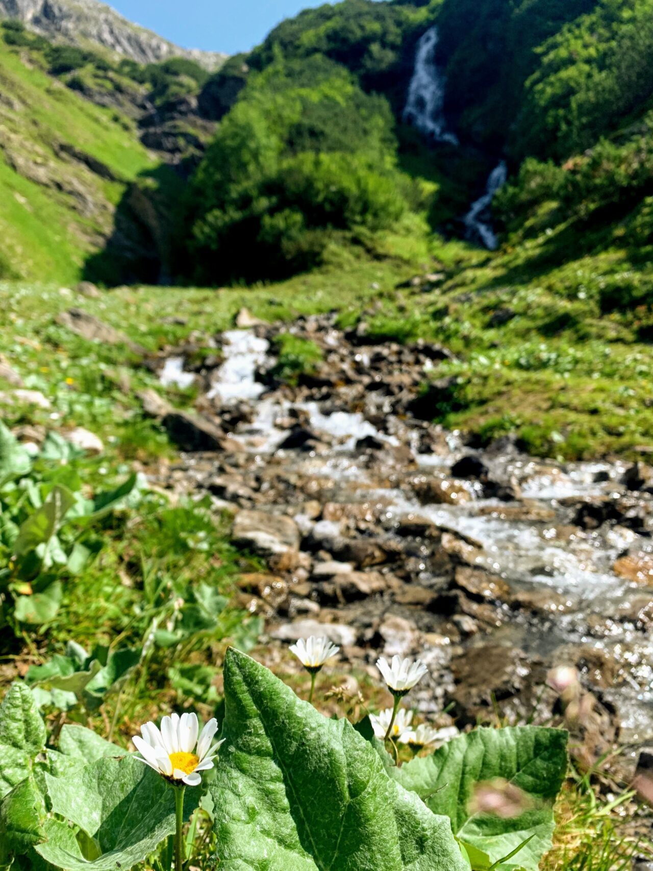 alpenueberquerung_mit-kindern_tag_3_madau_wuerttemberger_haus_