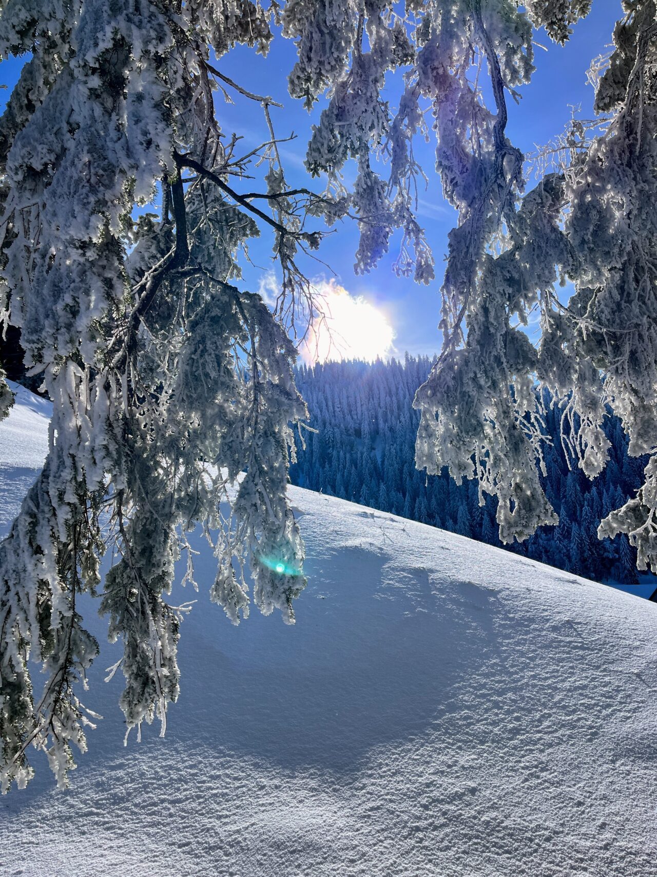 schneeschuhwanderung_wildspitz__IMG_2272