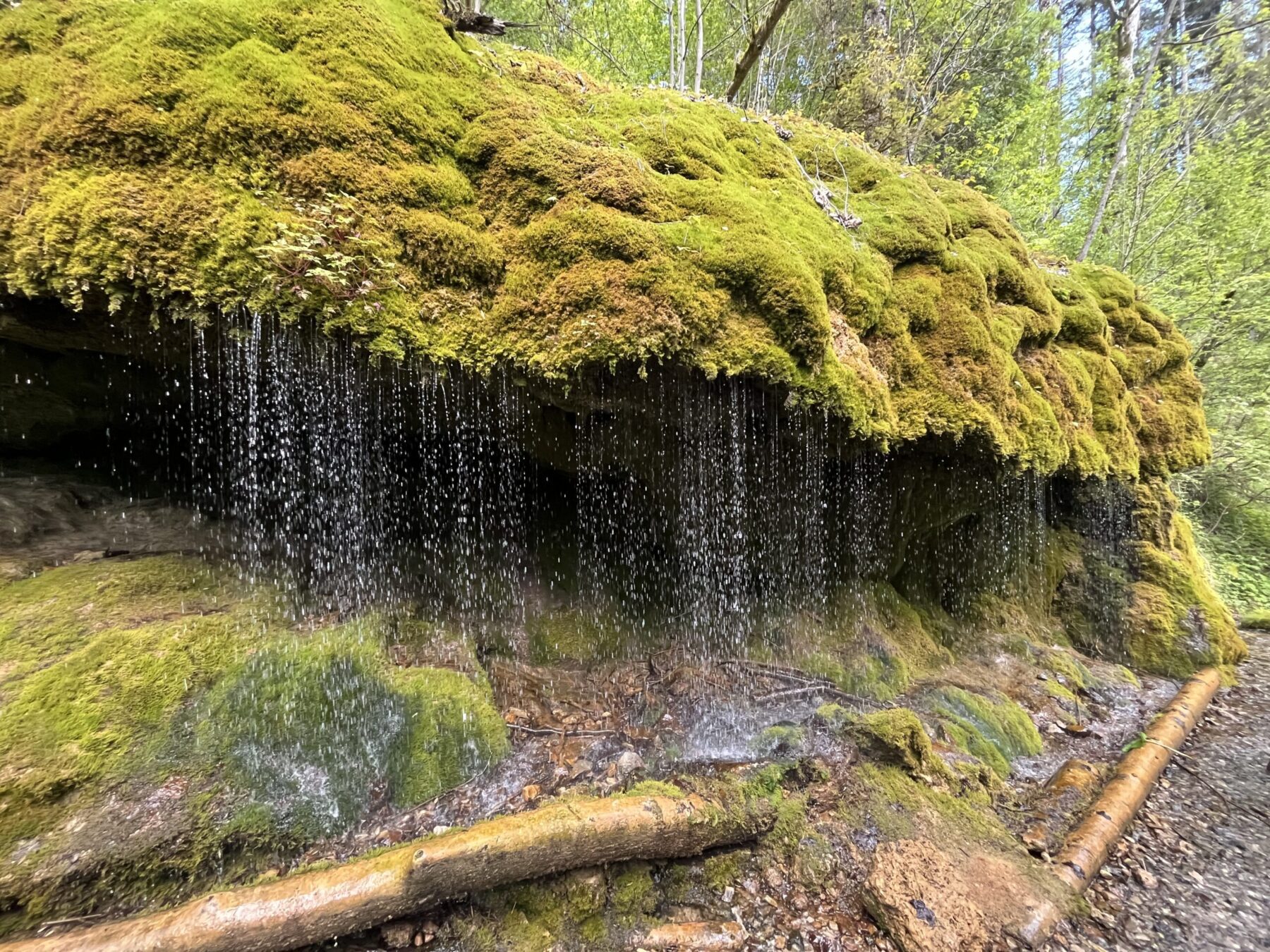 wanderung_schluchtensteig_schwarzwald_