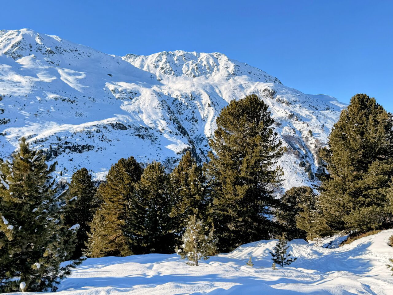 schneeschuhtour_pischa__IMG_9466