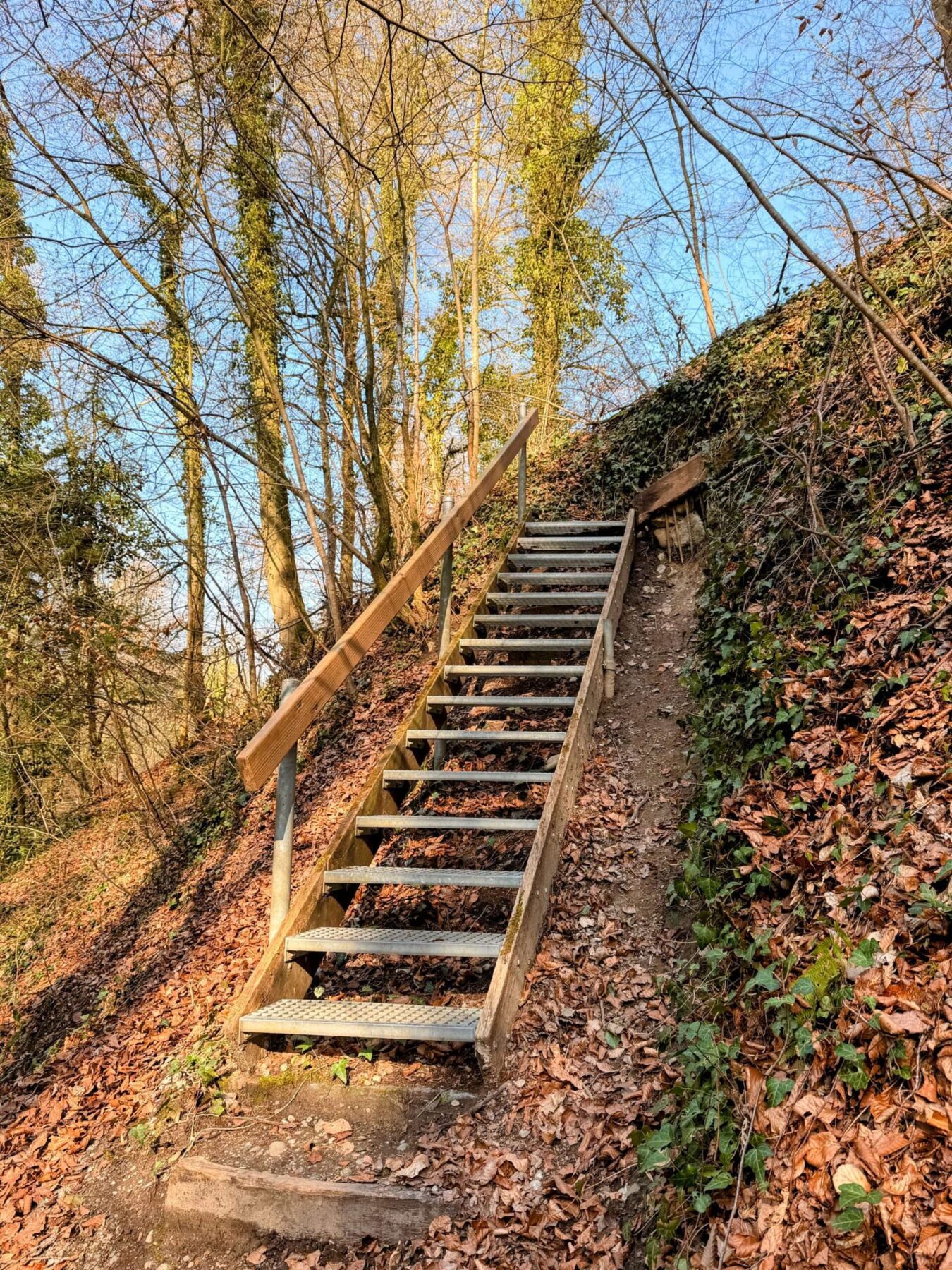 wanderung_reuss_und_aare_wanderung_mellingen_brugg_wildegg_