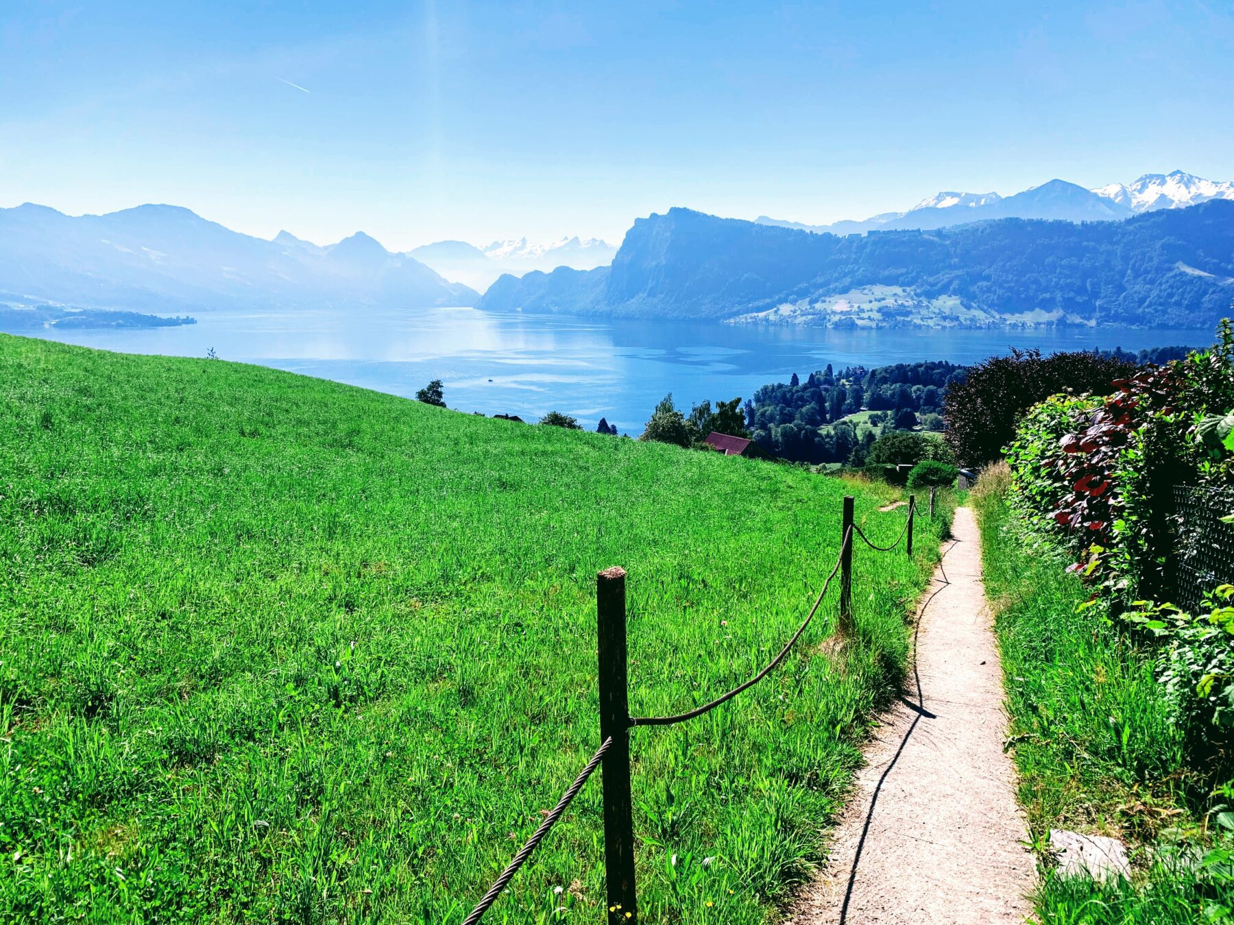 wanderung_vierwaldstaettersee_luzern_alpnachstad_