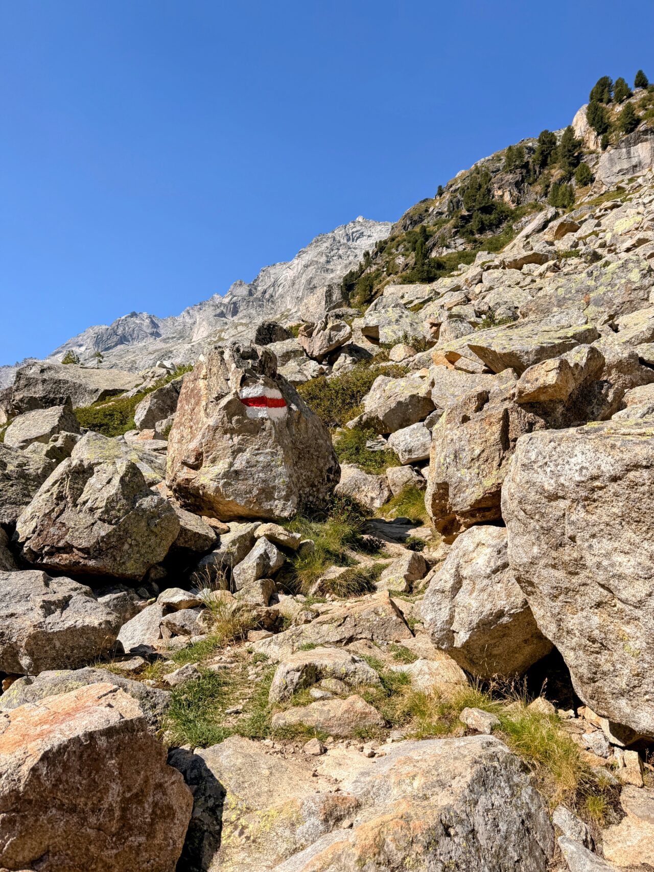 wanderung_sentiero_alpino_bregaglia_maloja_albignahuette__IMG_0142