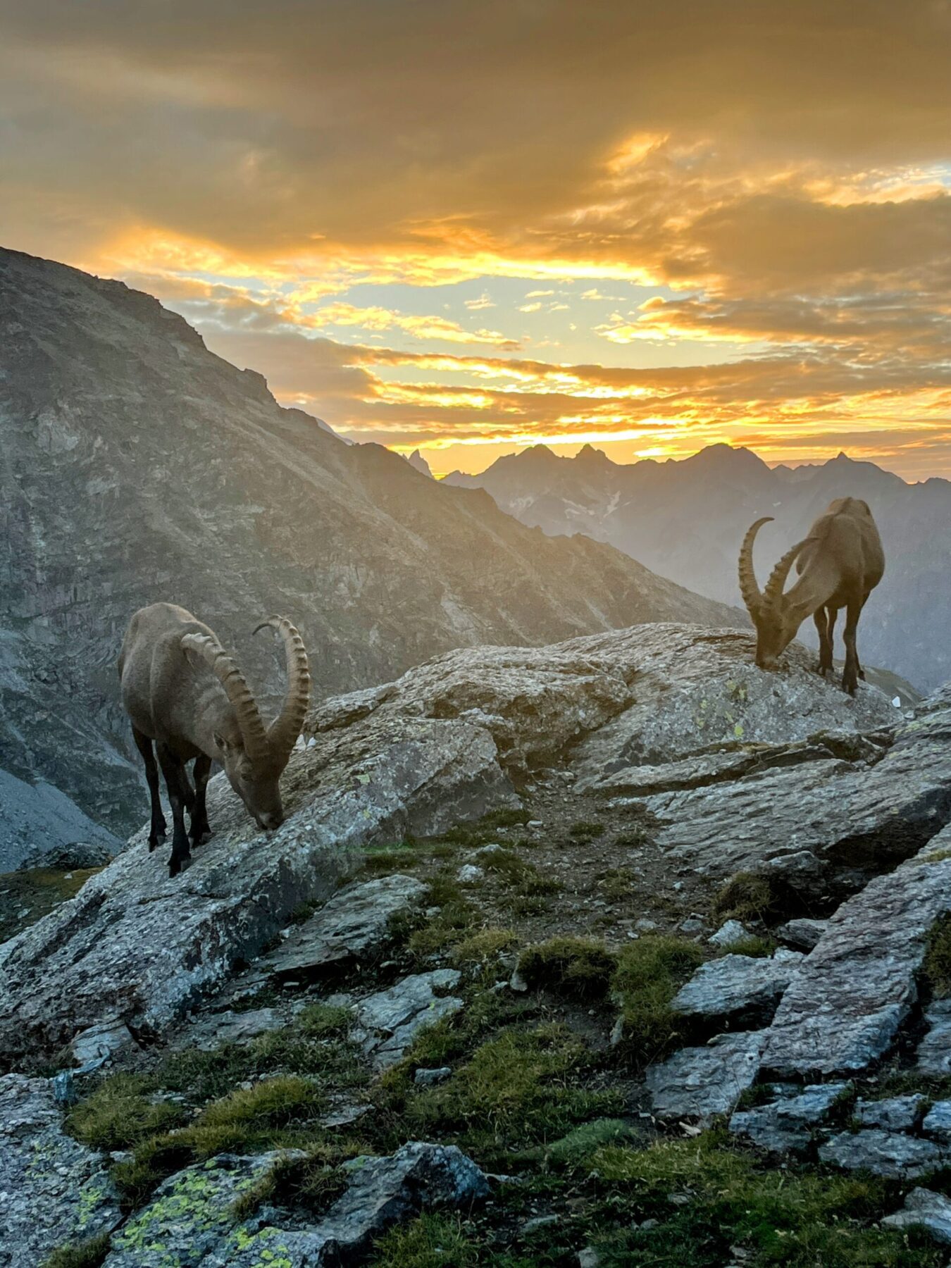 wanderung_bordierhütte_