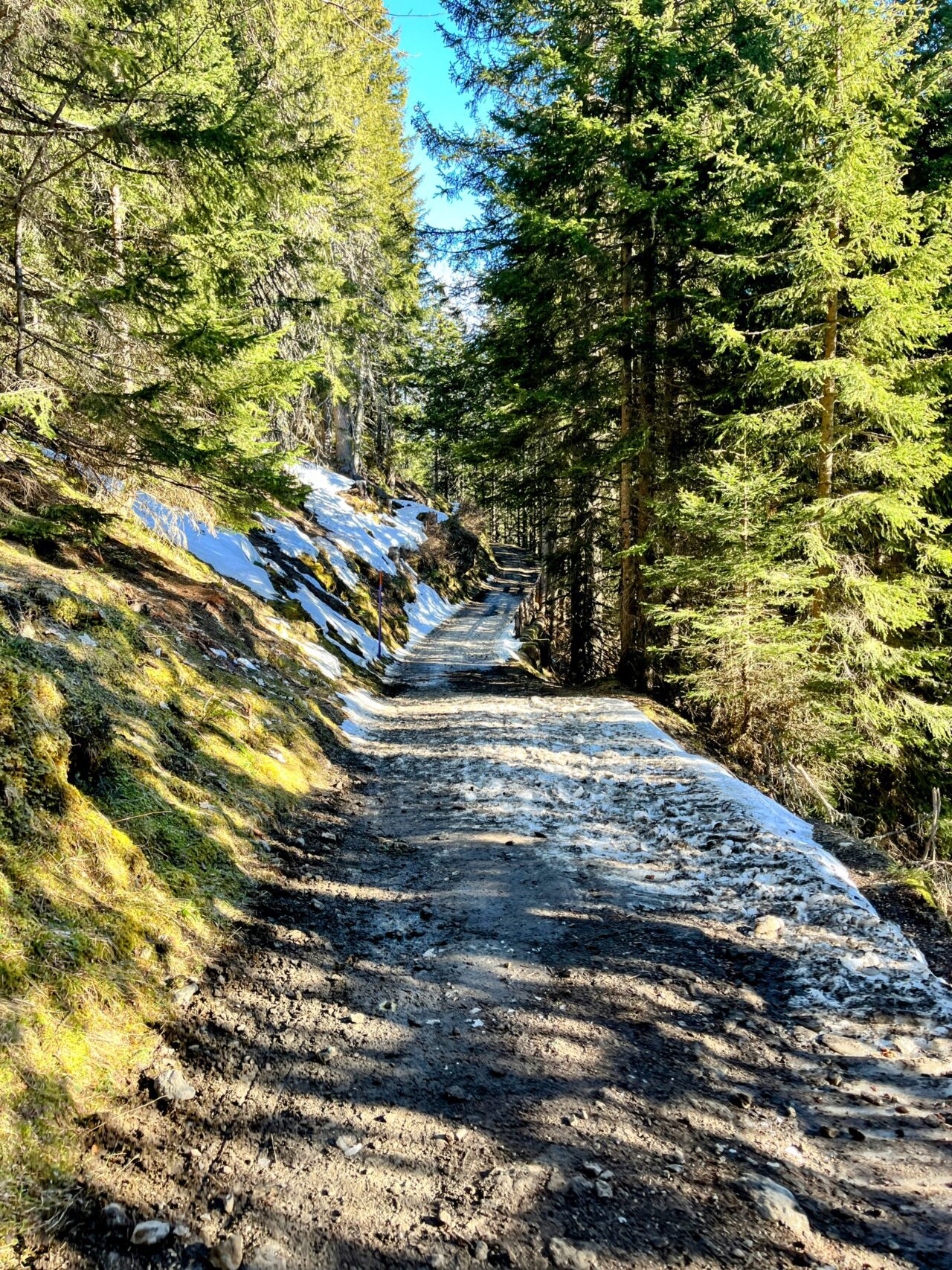 winterwanderung_first_faulhorn_schlitteln_grindelwald__IMG_4078