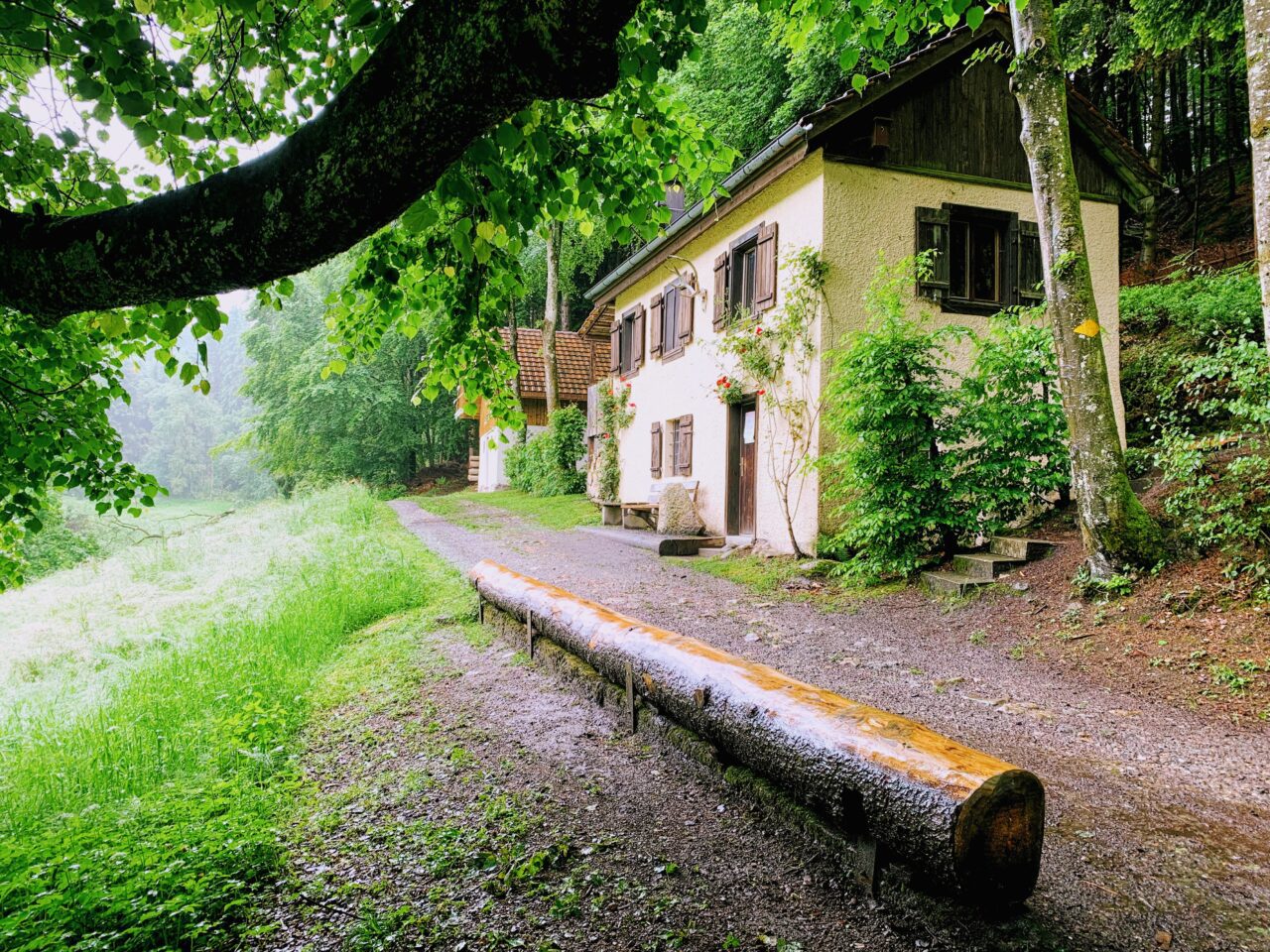 wanderung_waldstaetterweg_kuesnacht_am_rigi_luzern_