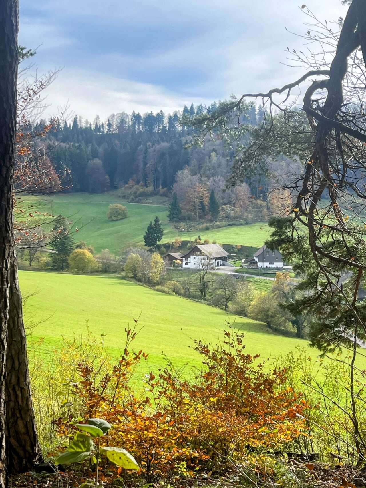wanderung_schauenberg_