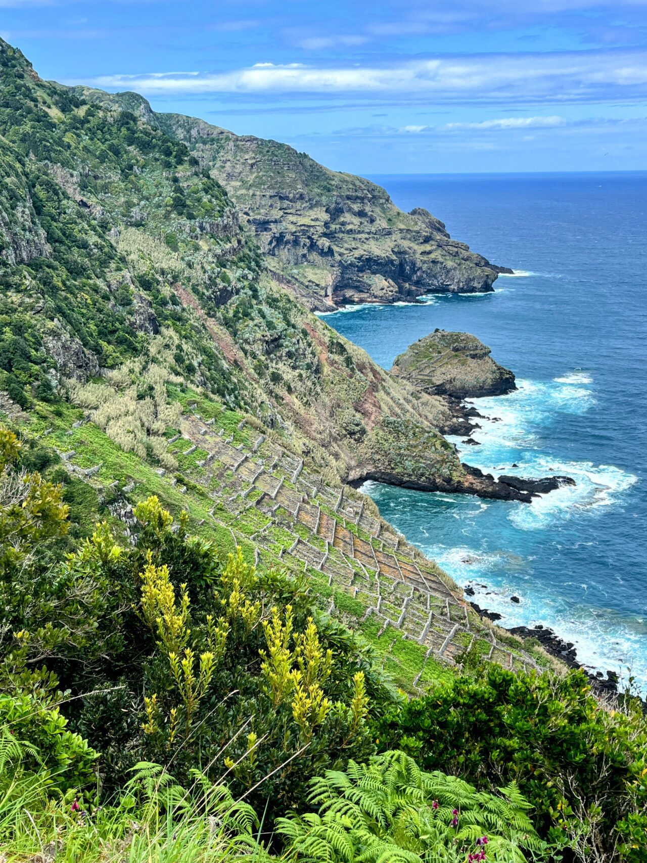 wanderung_ilha_a_pe_tag_2_malbusca_lapa_IMG_