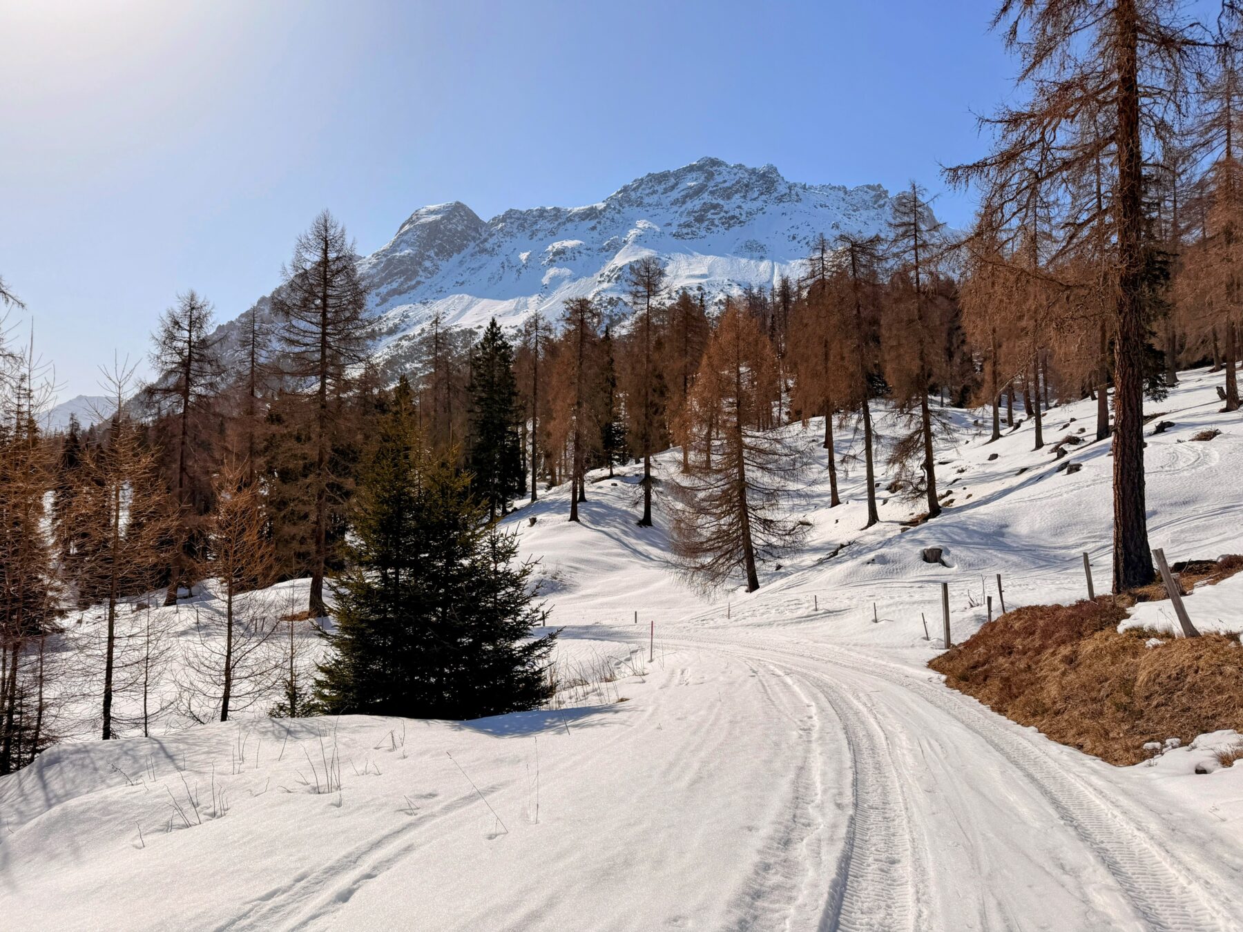 schneeschuhsafari_graubuenden_salouf_munter__IMG_0654