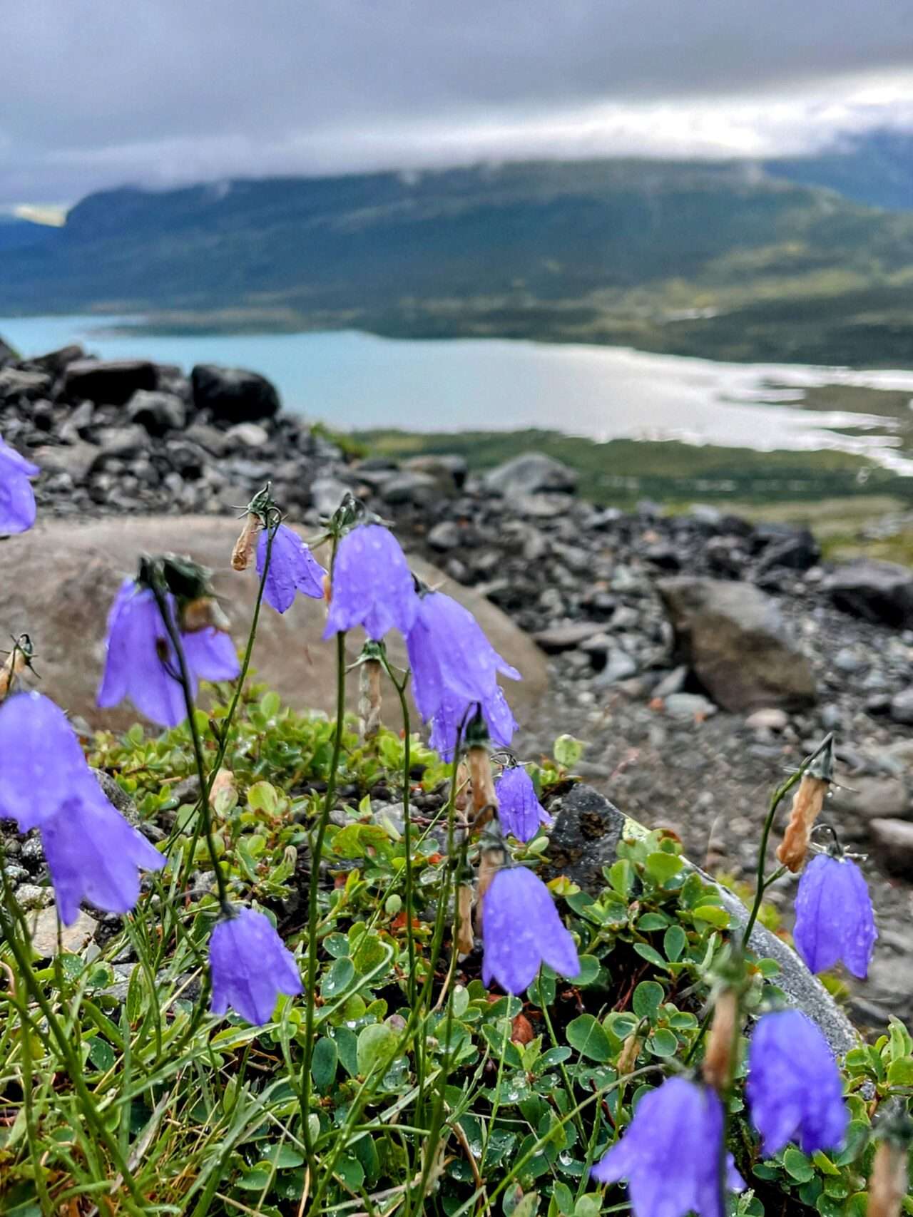 jotunheimen_wanderung_gjendesheim_glitterheim_