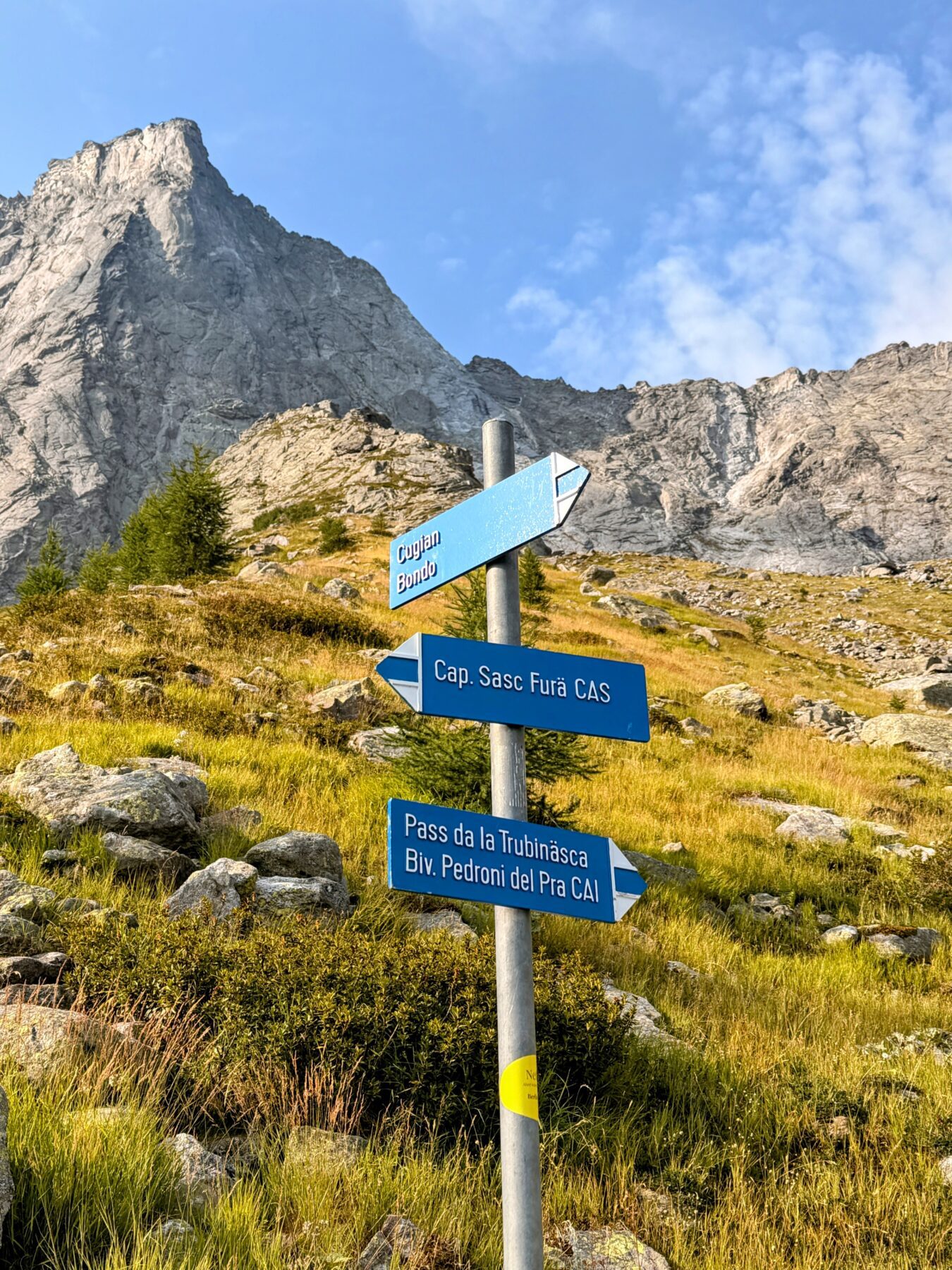 wanderung_sentiero_alpino_bregaglia_sasc_furae_huette_bondo__IMG_0564