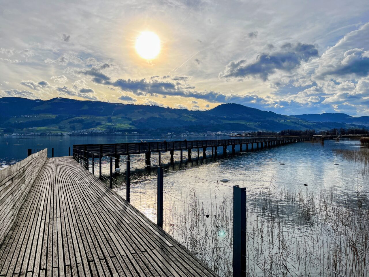 wanderung_pfaeffikon_rapperswil_