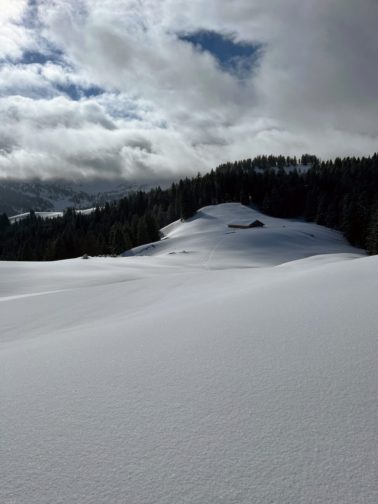 schneeschuhwandern_tanzboden__IMG_1869