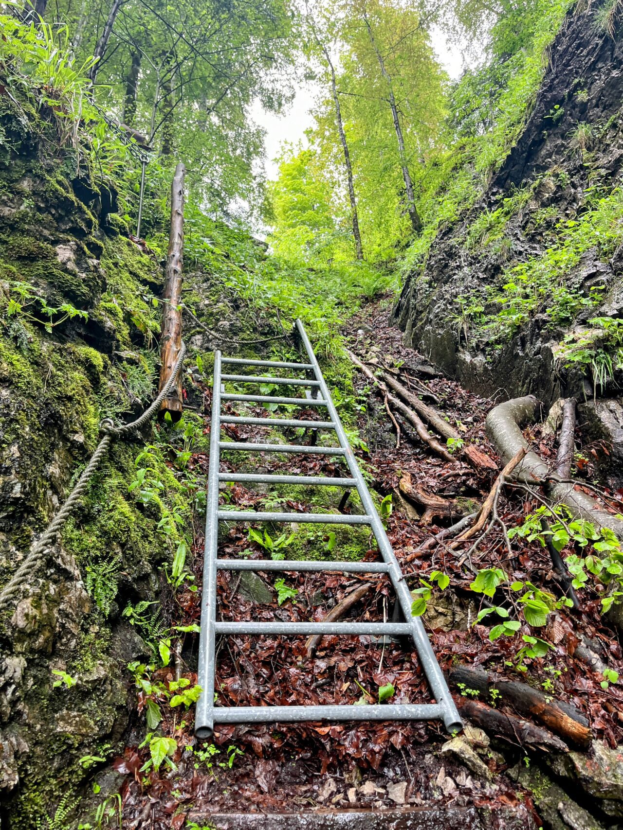 wanderung_hintere_unteriberg_stoos_fronalpstock_