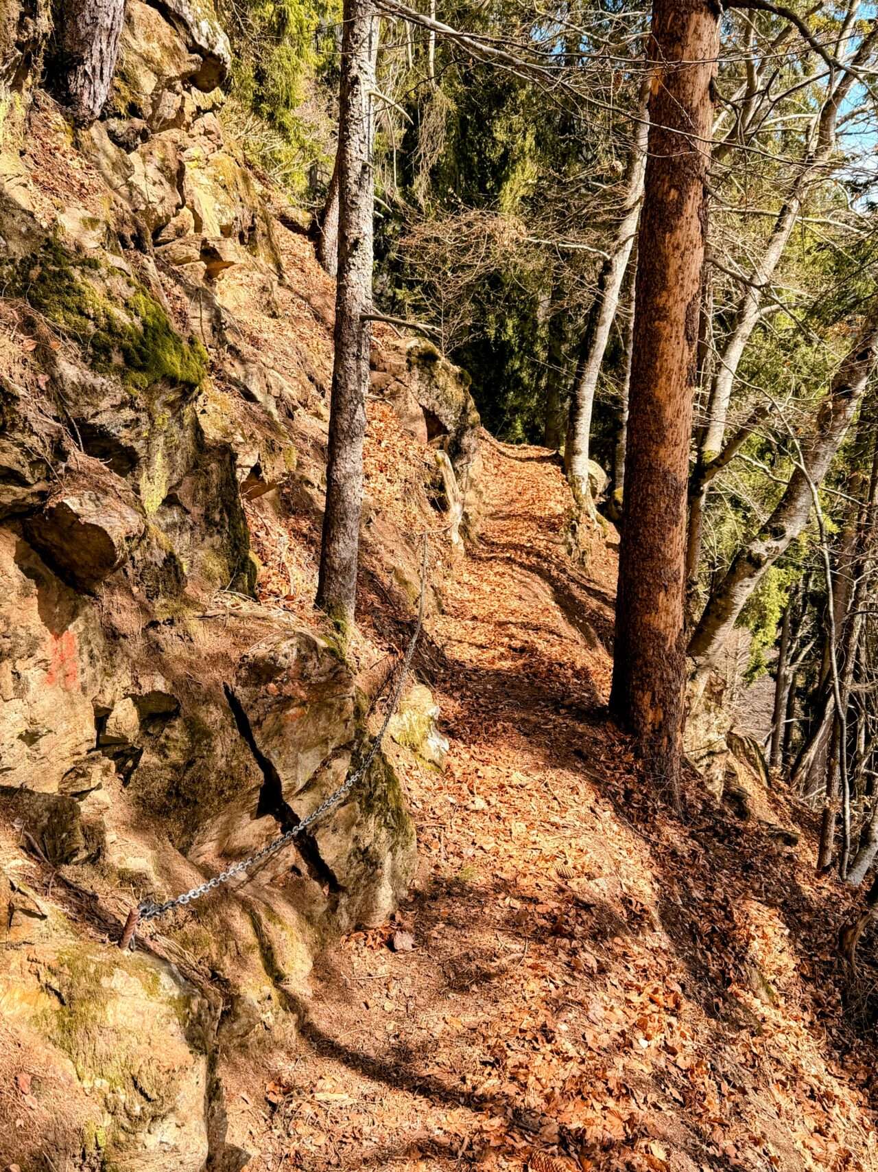 wanderung_Meraner_hoehenweg_hochmuth_mutthoefe_longfall_saltaus_