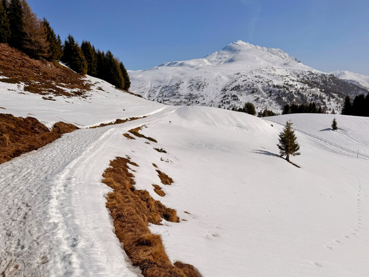 schneeschuhsafari_graubuenden_braembruesch_feldis__IMG_0576