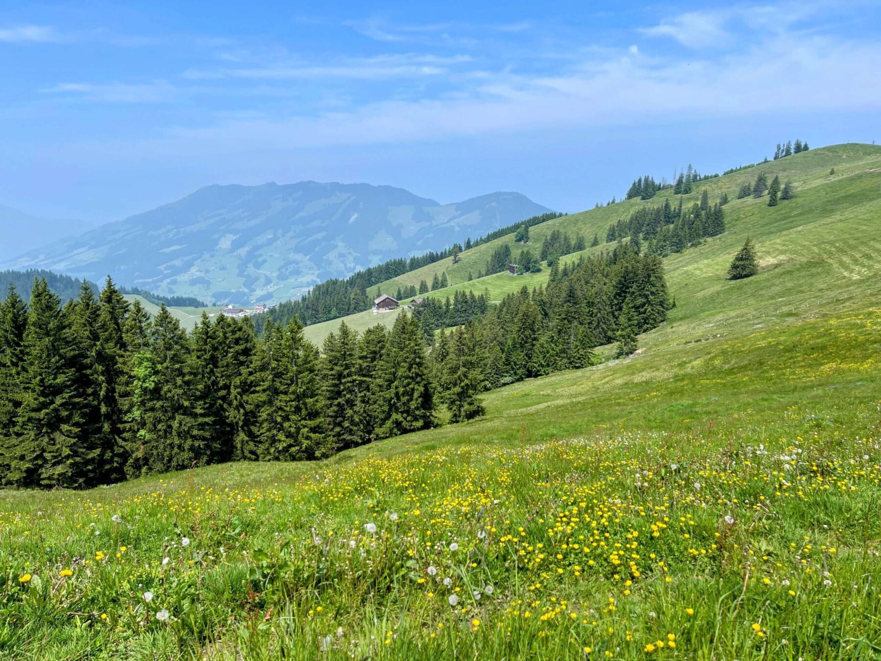 wanderung_brunni_hagenegg_mostelberg_sattel_