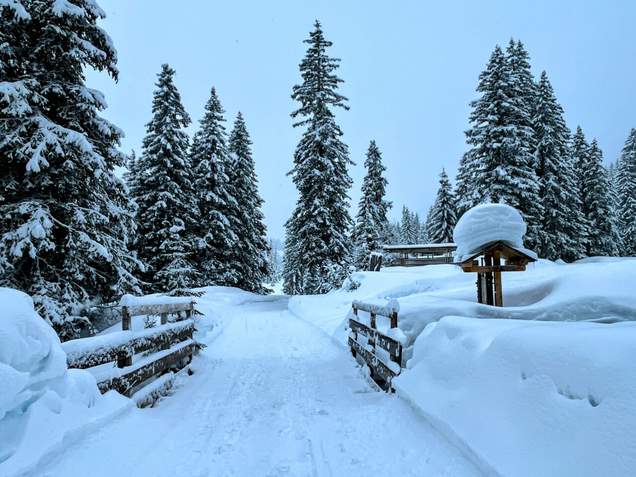 winterwanderung_lech_zug_vorderes_aelpele__IMG_4526