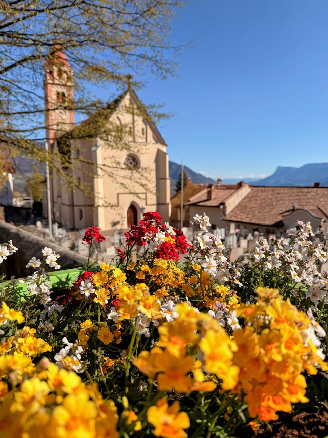 wanderung_maiser_waalweg_tappeinerweg_dorf_tirol_
