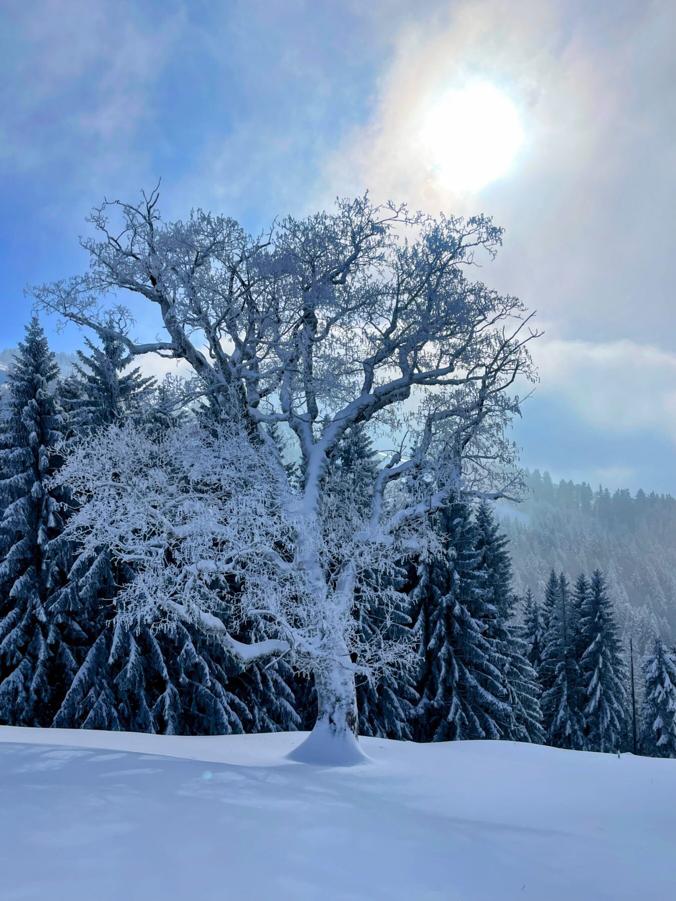 schneeschuhwanderung_rieden_tanzboden_