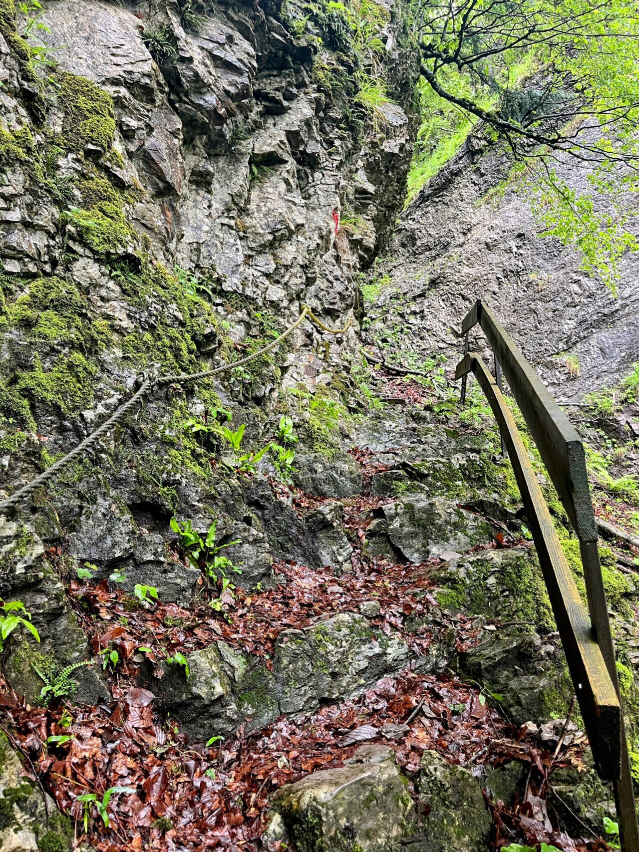 wanderung_hintere_unteriberg_stoos_fronalpstock_