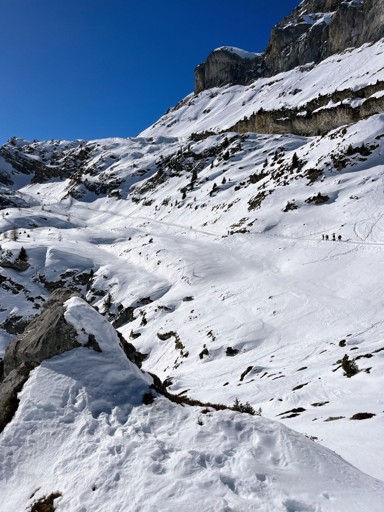 schneeschuhtour_wildstrubel_lämmerenhütte__IMG_9936