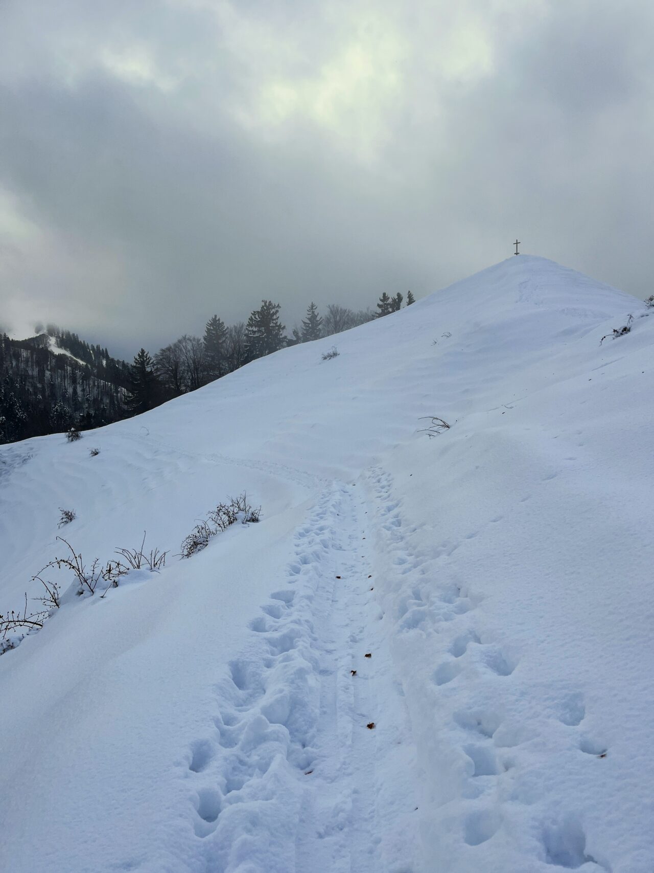 schneeschuhwanderung_schnebelhorn__IMG_2451