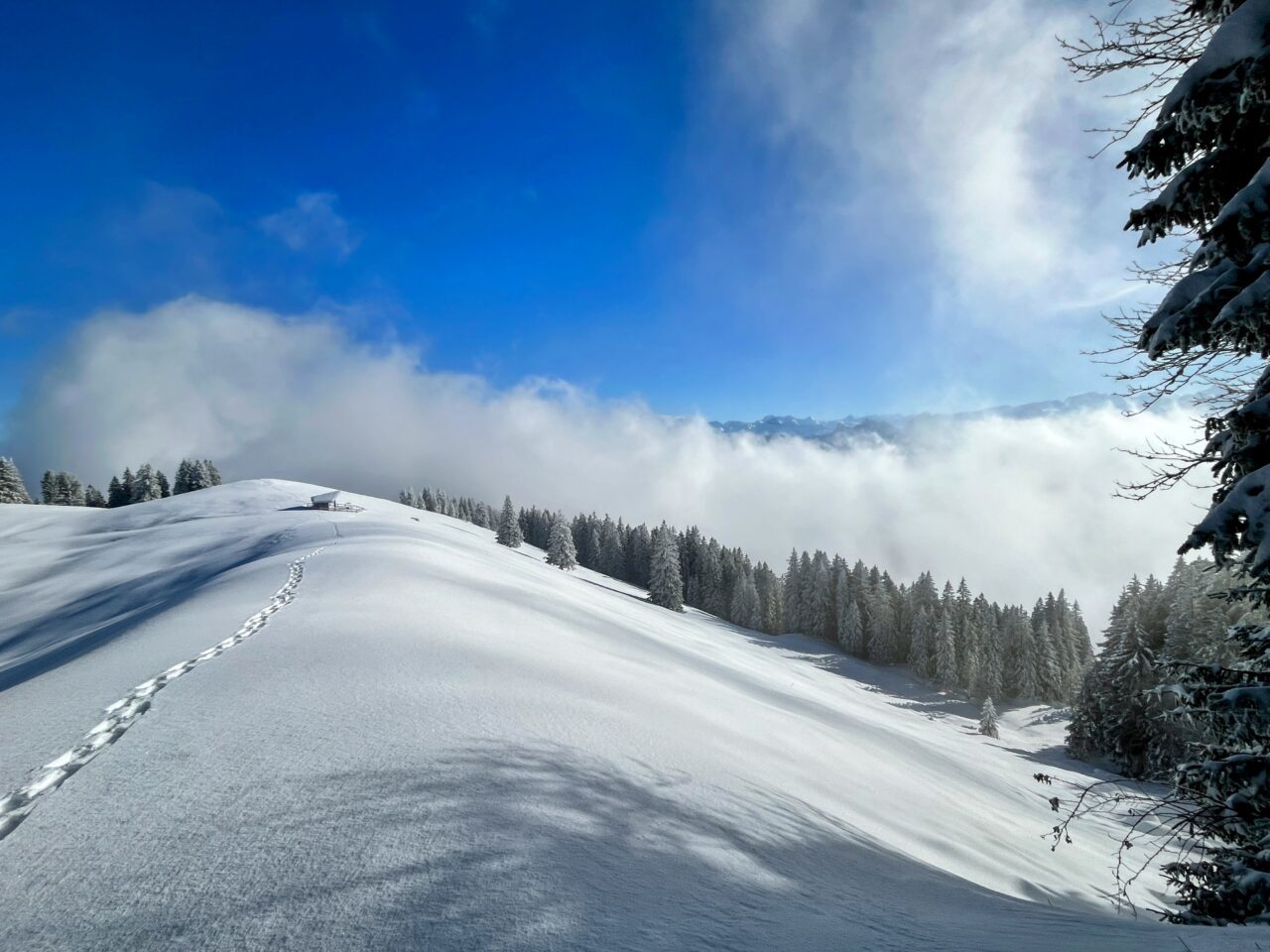 schneeschuhwanderung_wildspitz__IMG_2249