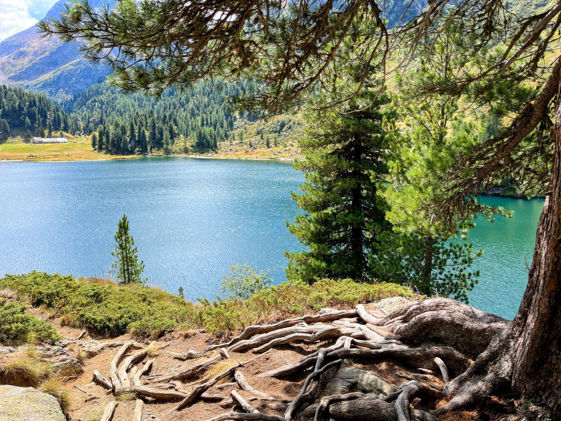 wanderung_sentiero_bernina_sud_