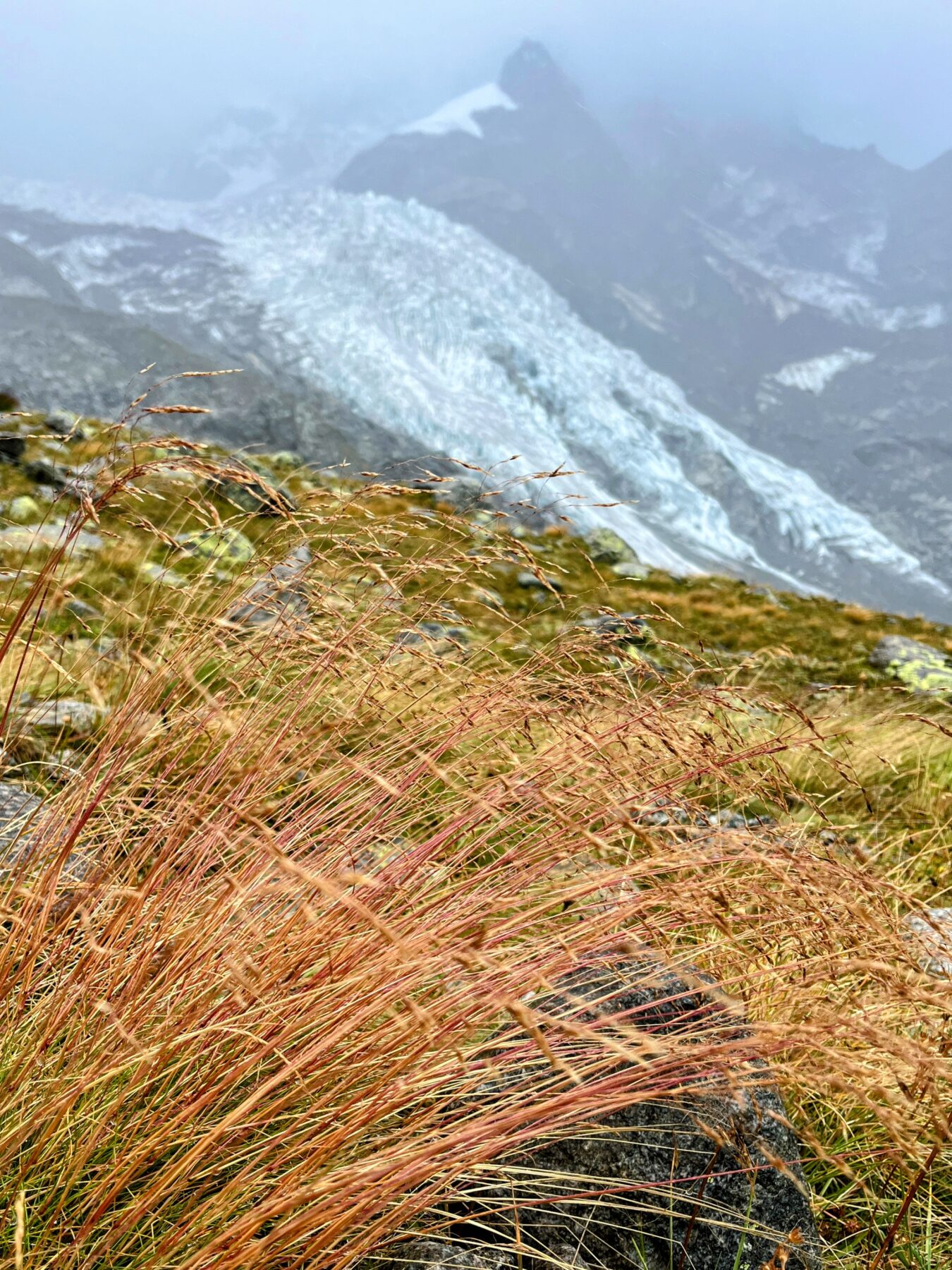 wanderung_bernina_trek_tag_4_murtel_val_roseg_