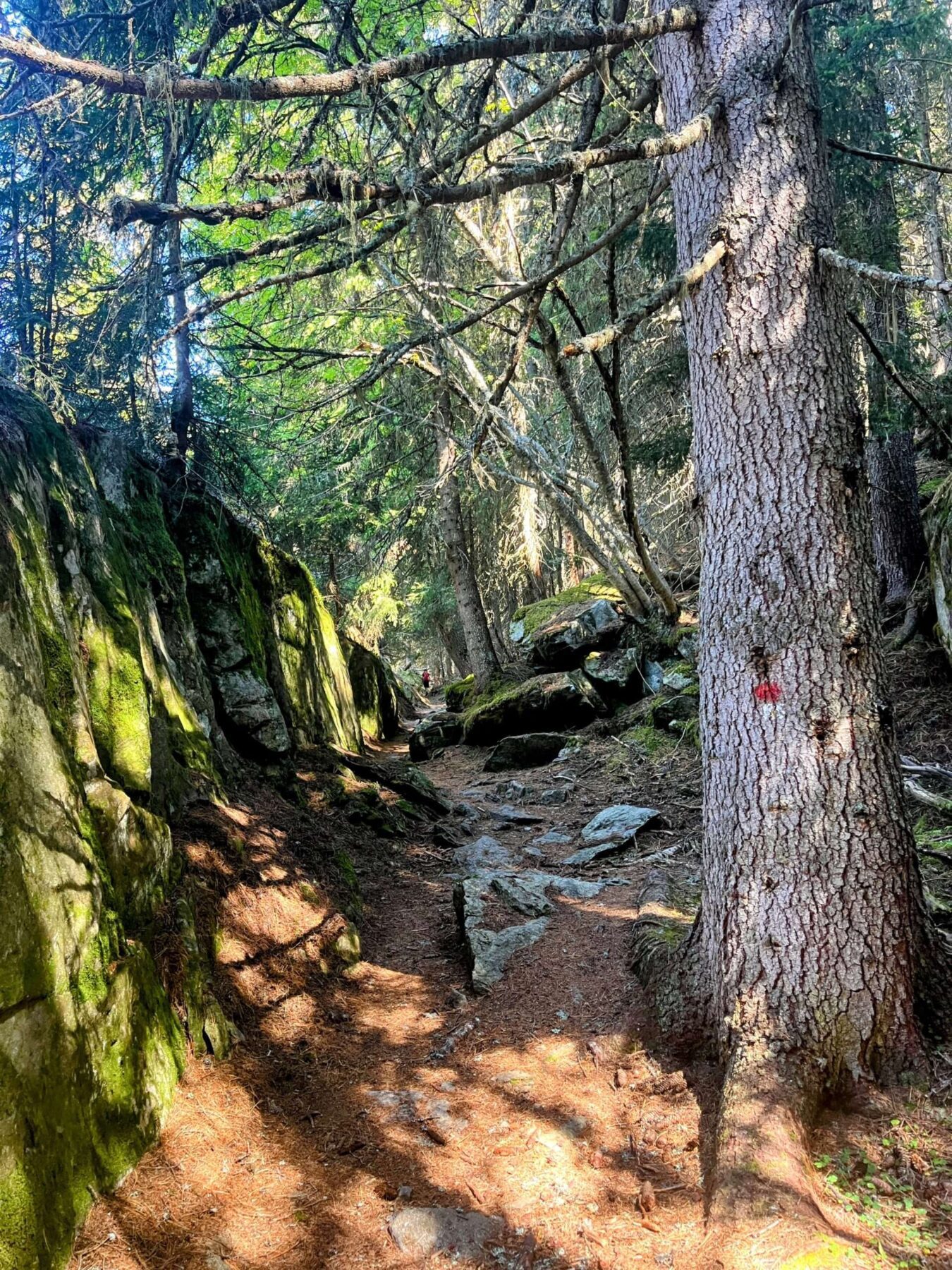 wanderung_oberaletschhuette_