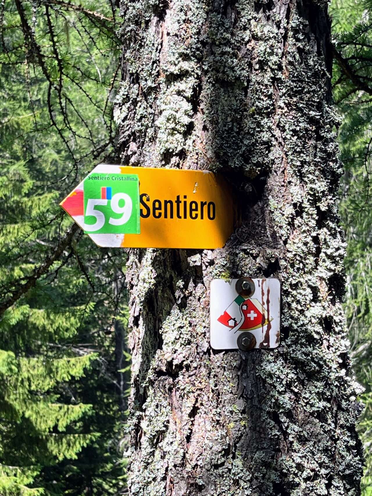 wanderung_alpenpässeweg_airolo_allacqua_