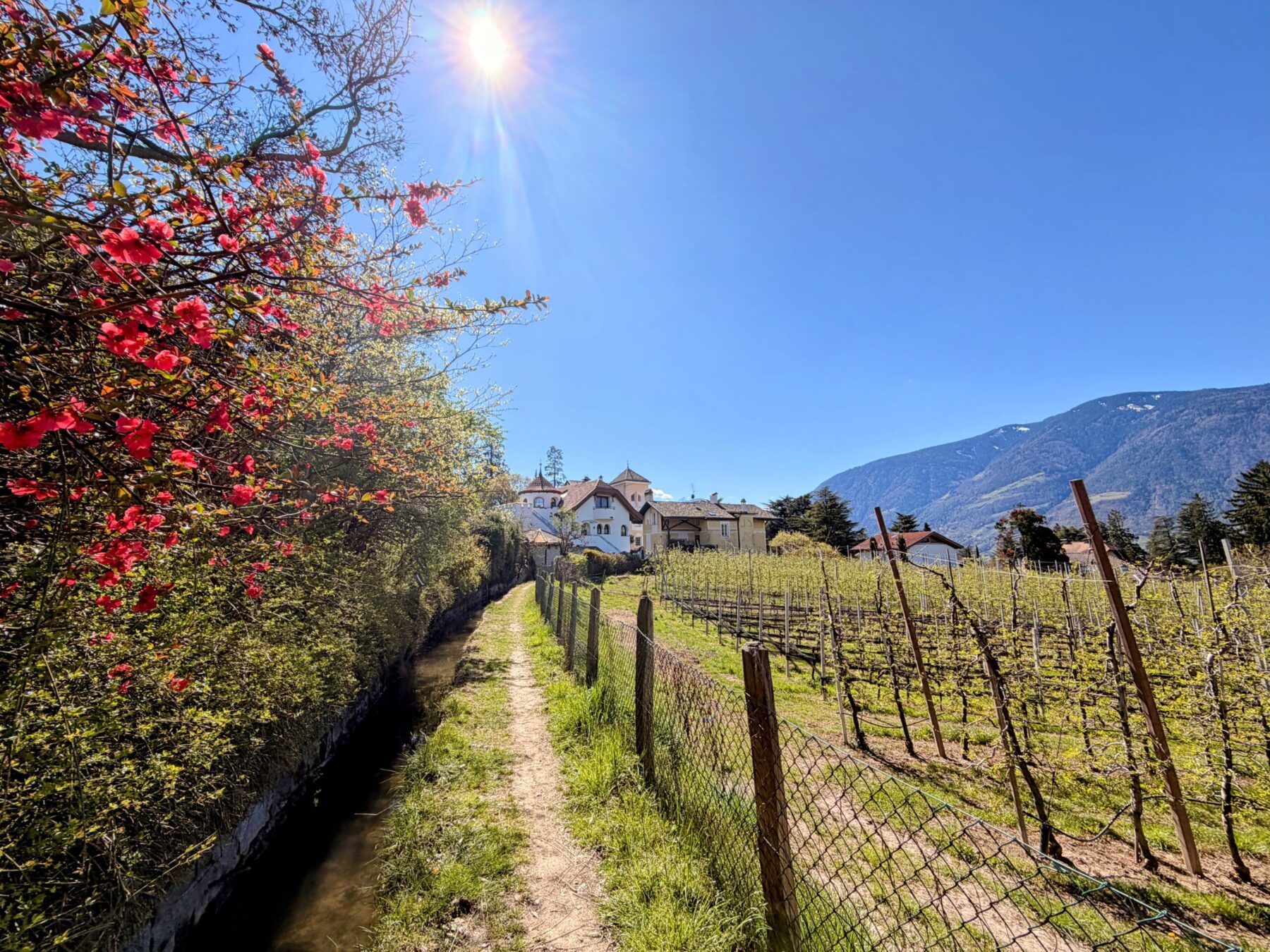wanderung_maiser_waalweg_tappeinerweg_dorf_tirol_
