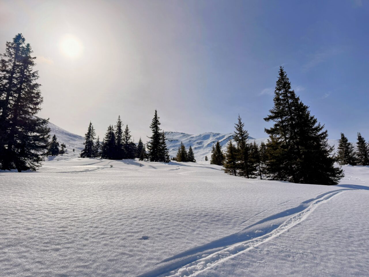 schneeschuhsafari-graubuenden-sedrun-disentis-_IMG_0290