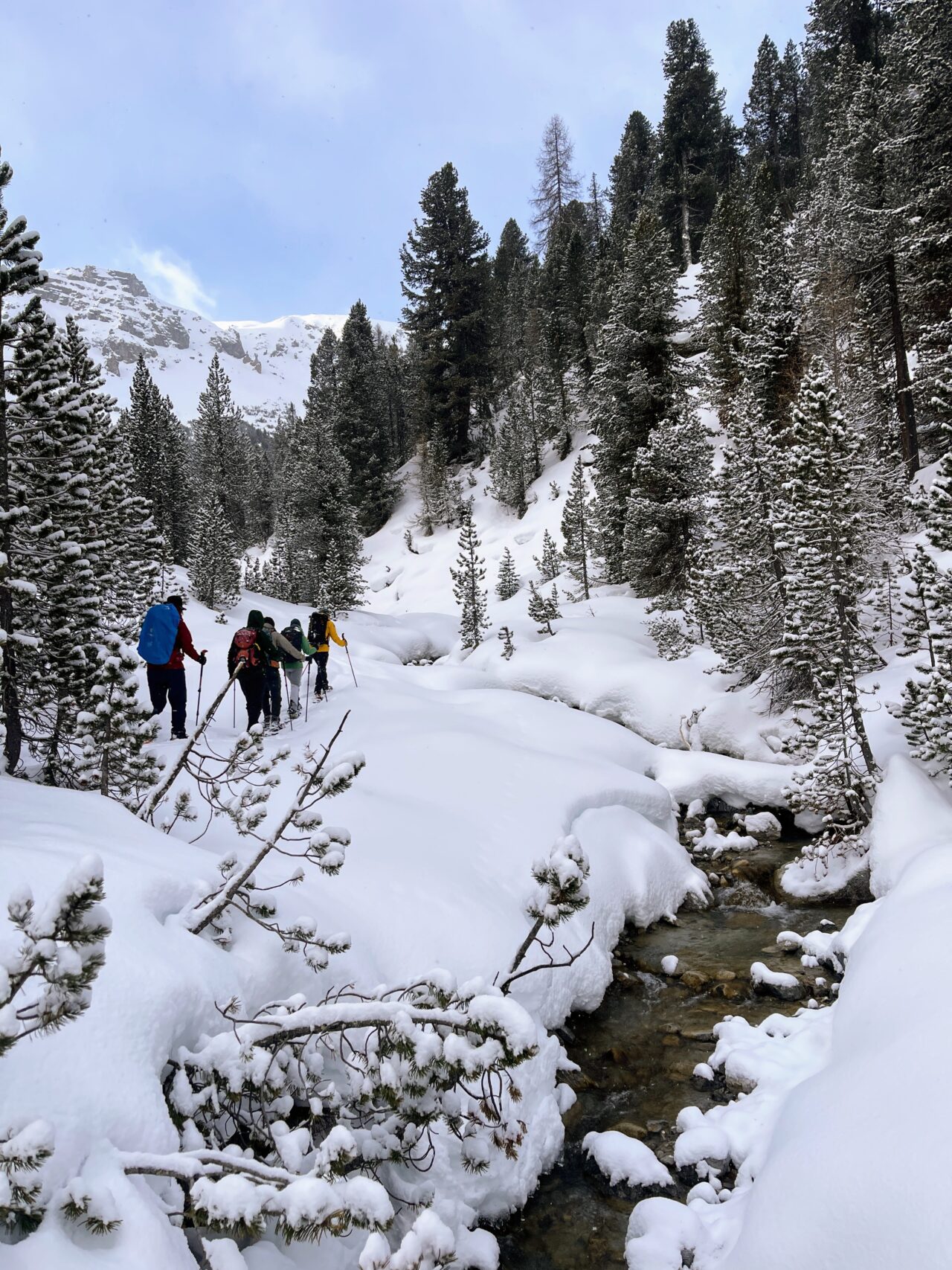 schneeschuhtour_buffalora_