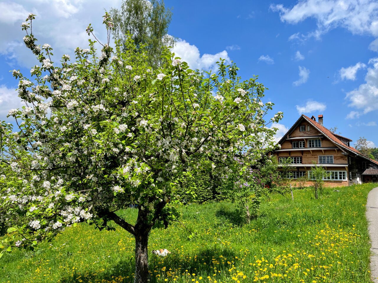 wanderung_schnebelhorn_