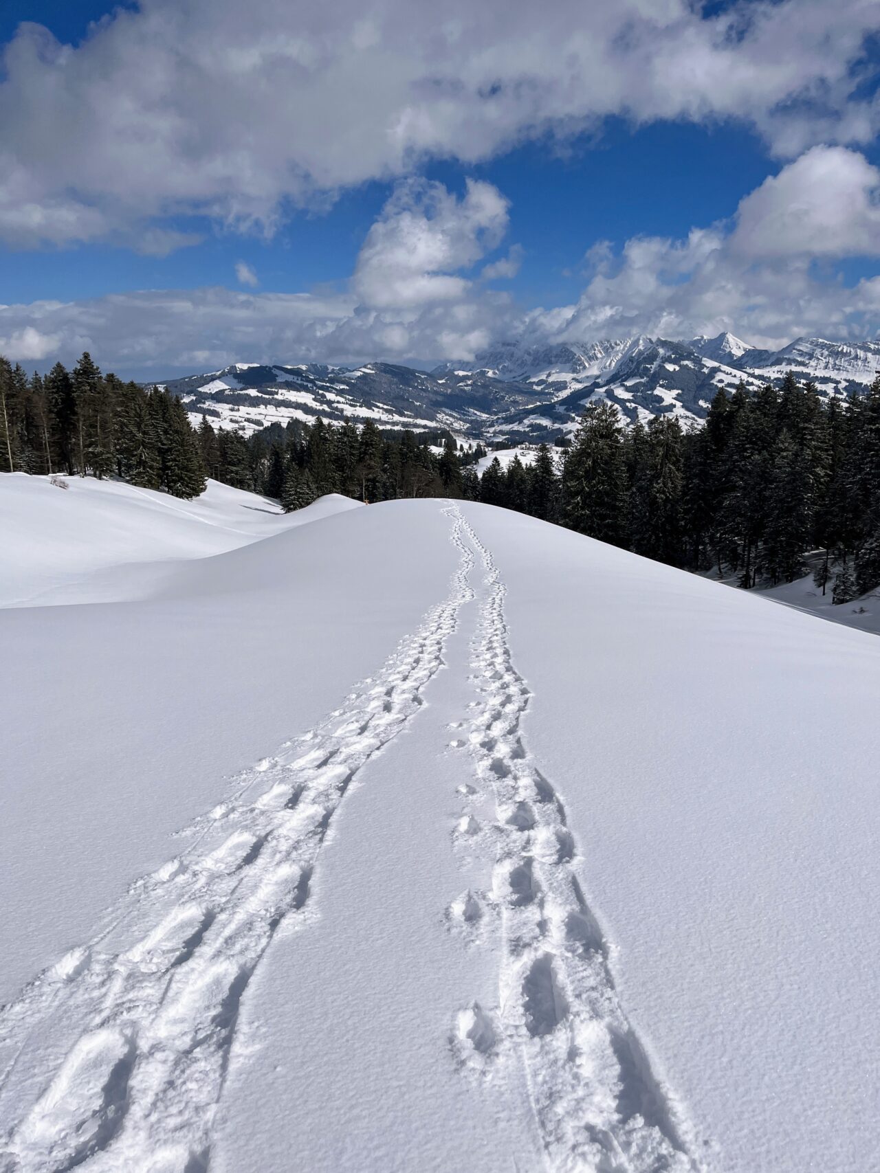 schneeschuhwandern_tanzboden__IMG_1906