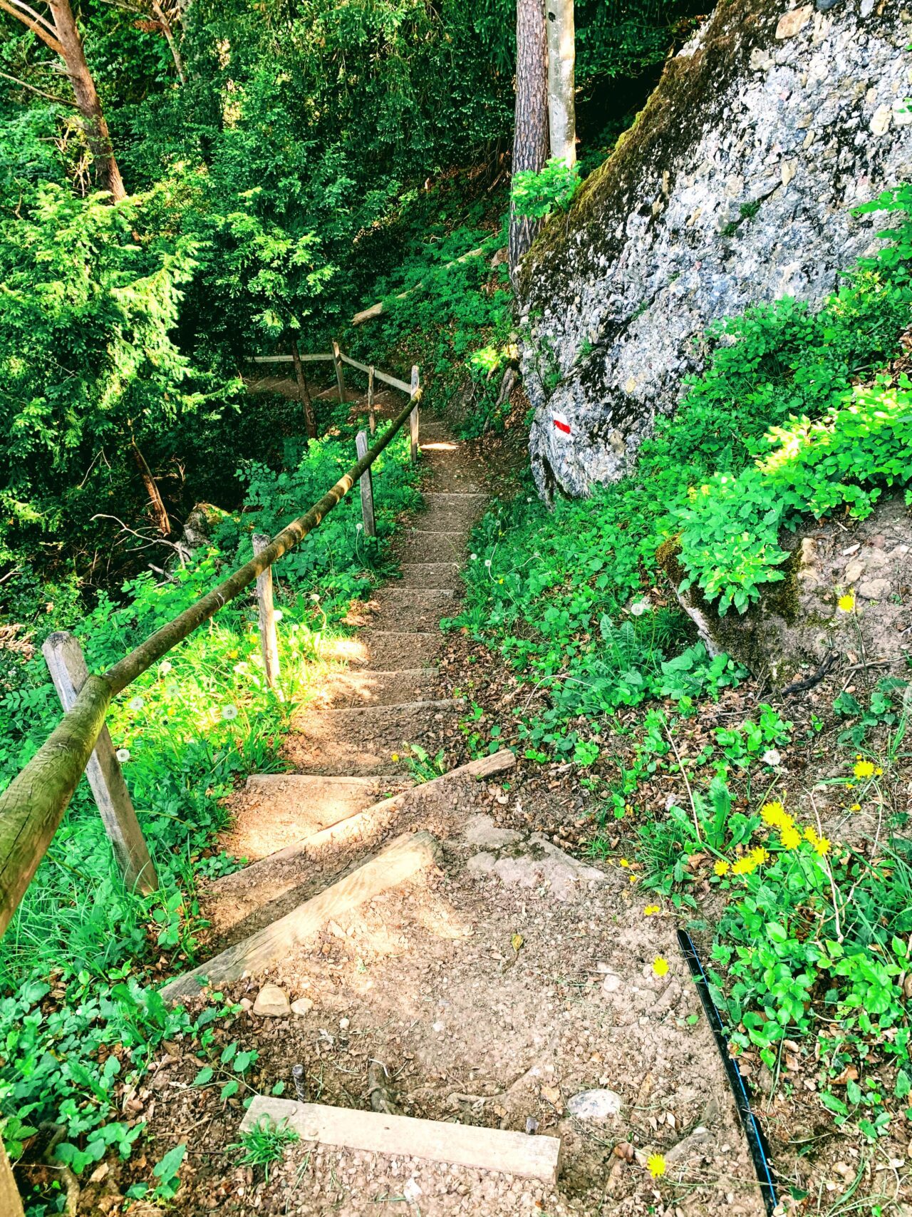 wanderung_waldstaetterweg_vitznau_kuesnacht_am_rigi_