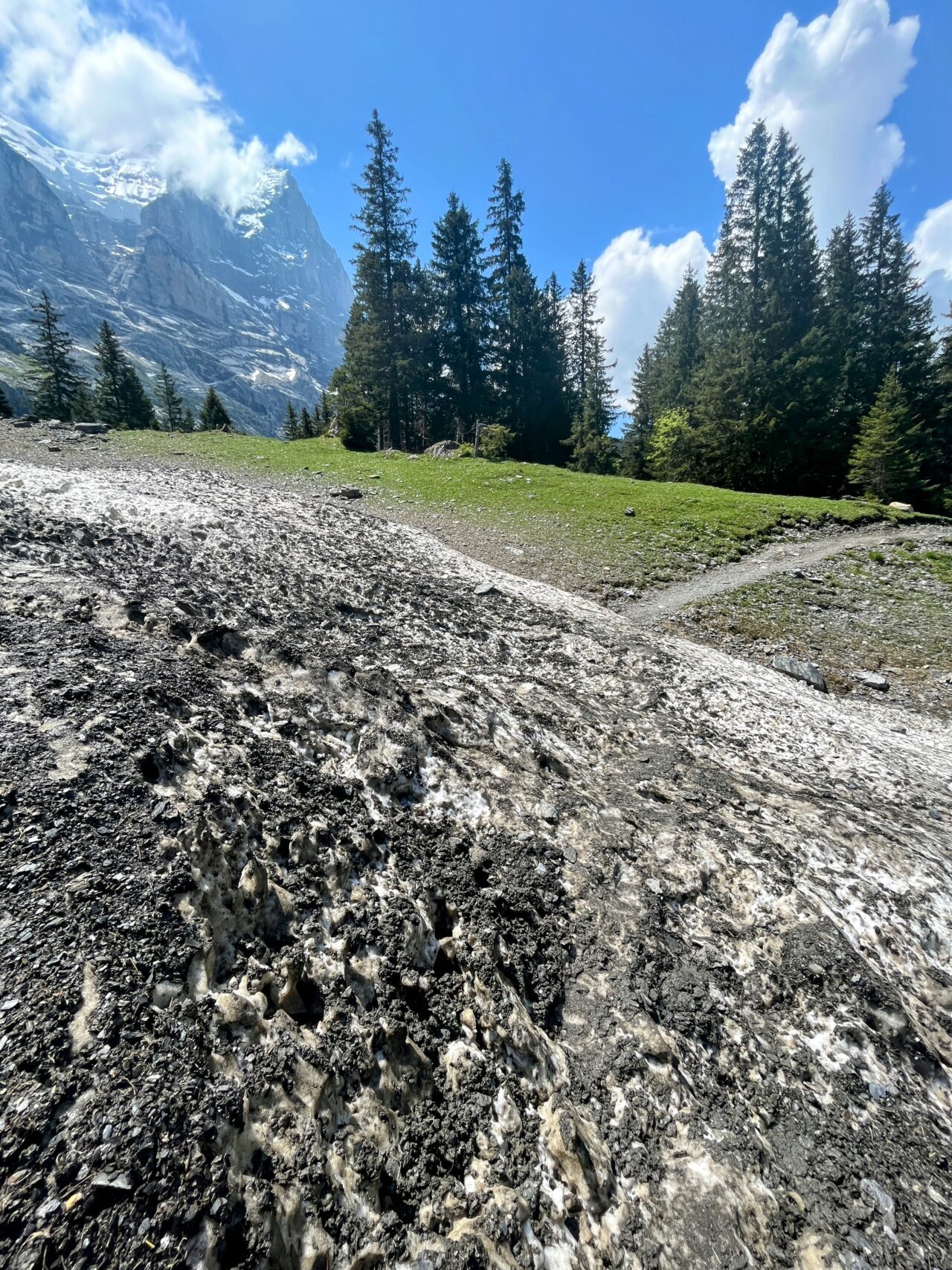 wanderung_via_alpina_meiringen_grindelwald_