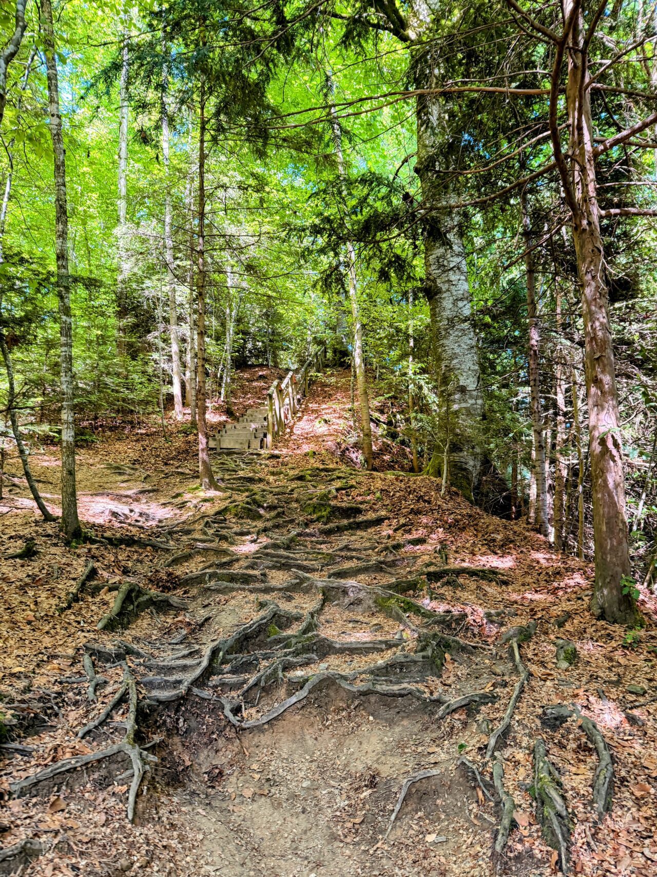 wanderung_lorzentobel_